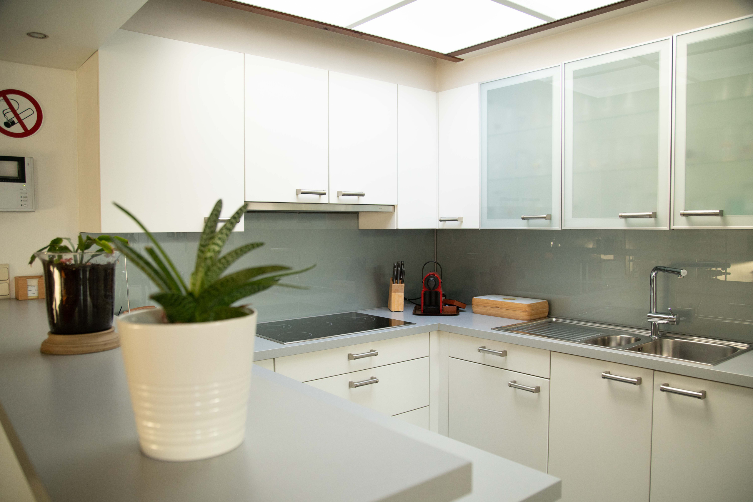 Carpe Diem. Tatyana Van Hedent een fotograaf te Zele, Oost-Vlaanderen