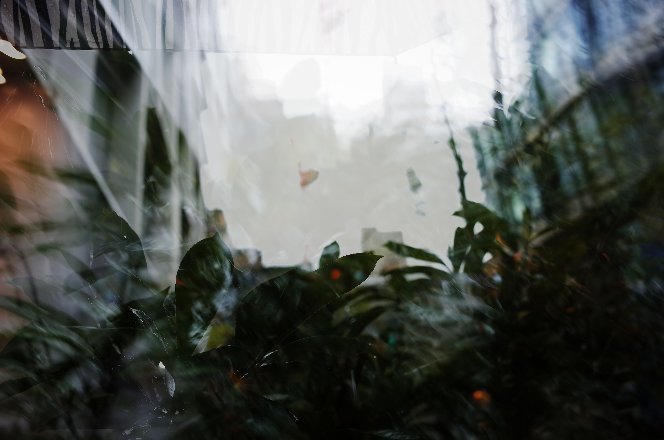 English (not yet summer) rain. Victoria Dini. Art photography in London / Folkestone, UK