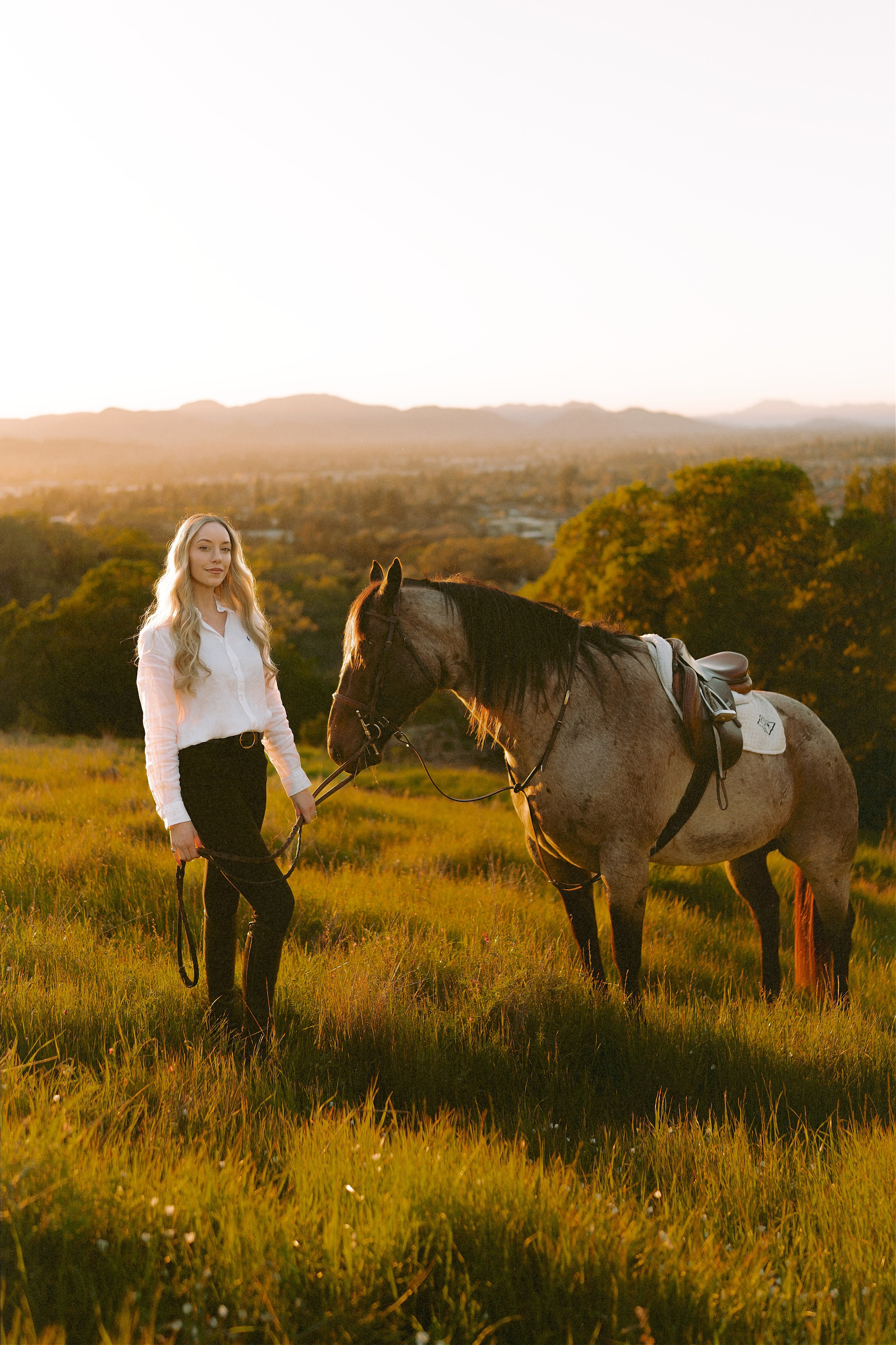 Engagement with Horses, Napa, Northern California. Wedding Photography & Videography Team in California, Los Angeles, San Francisco, San Diego and Travel