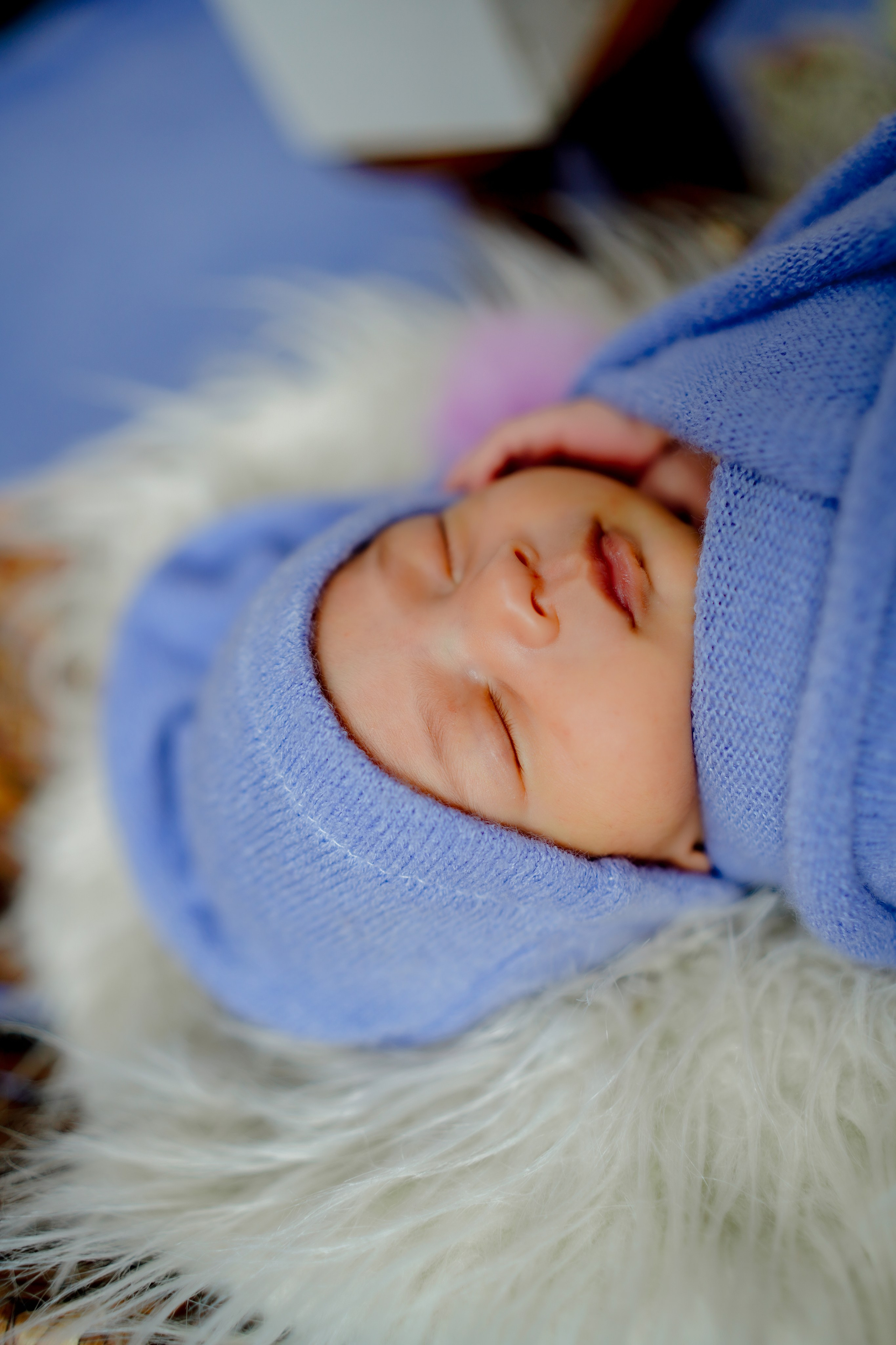 New born. TNF photo & filming