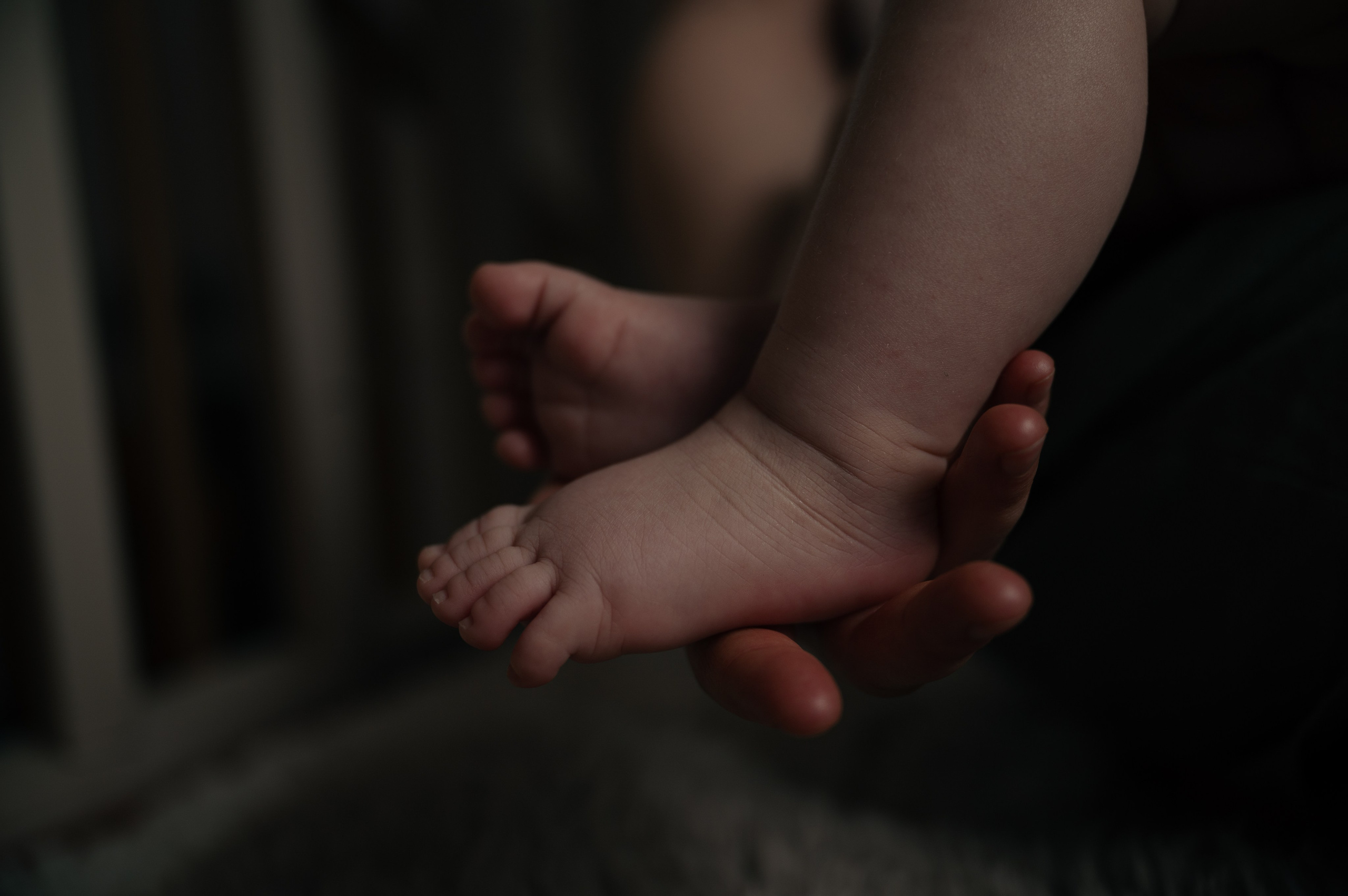 Barn- og familiefotografering. Din fotograf i Narvik kommune