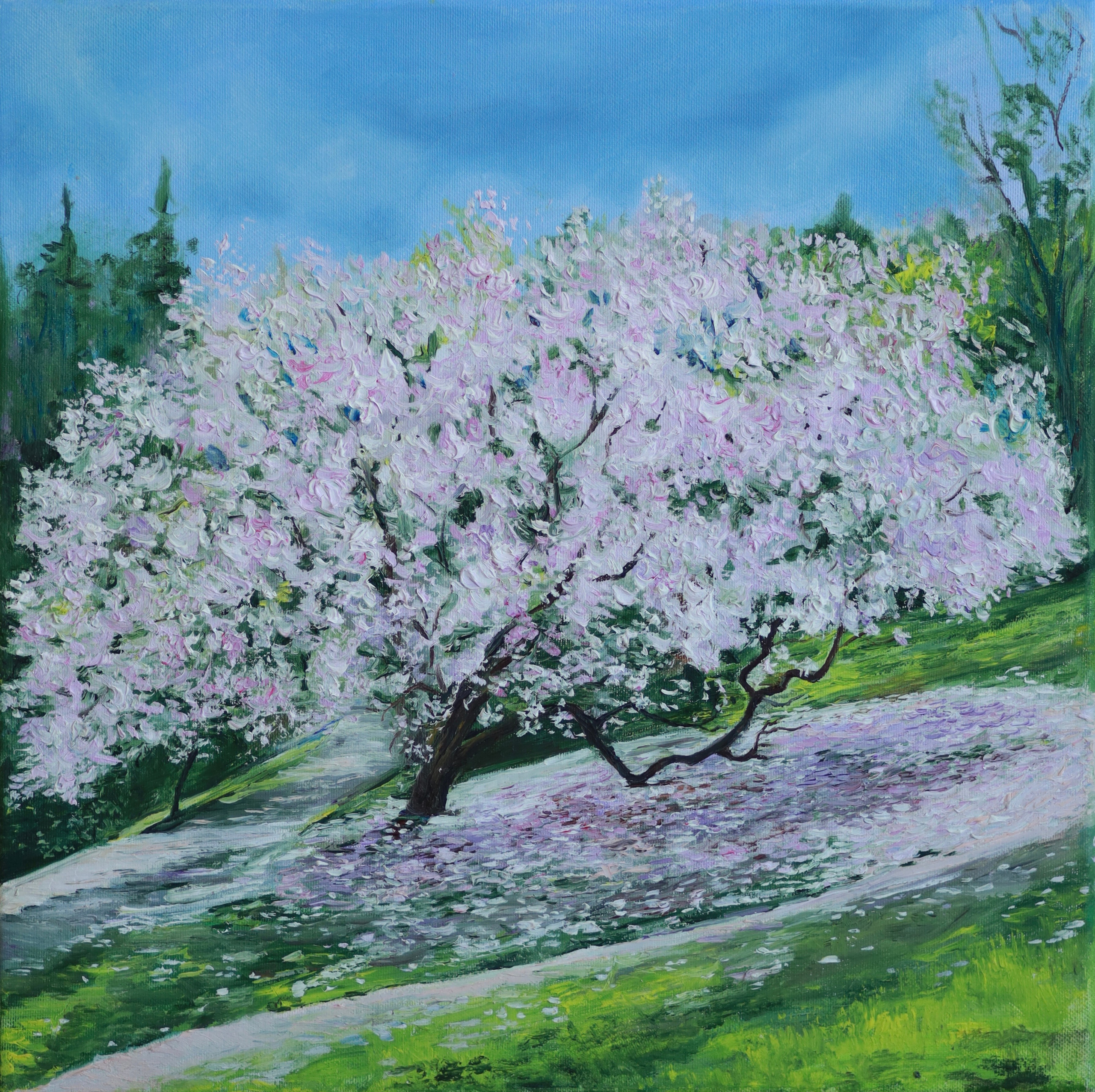 ПРАЖСКАЯ МАГНОЛИЯ