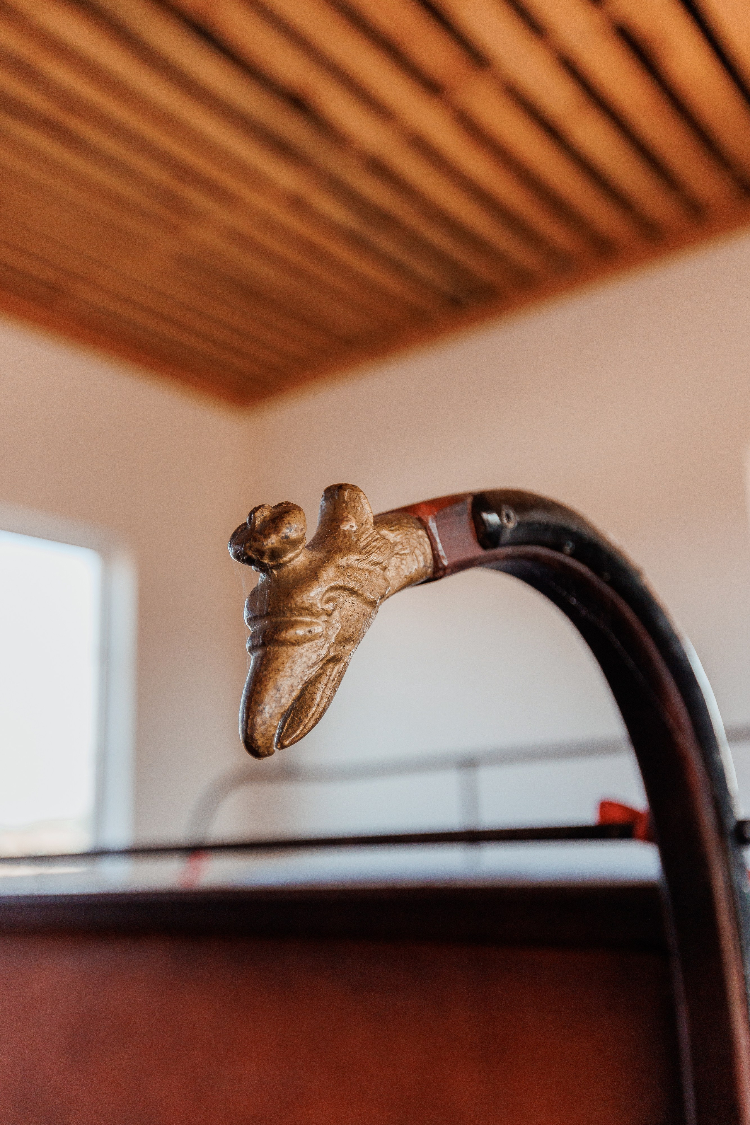 Екопарк Аміла. Ірина Терещук