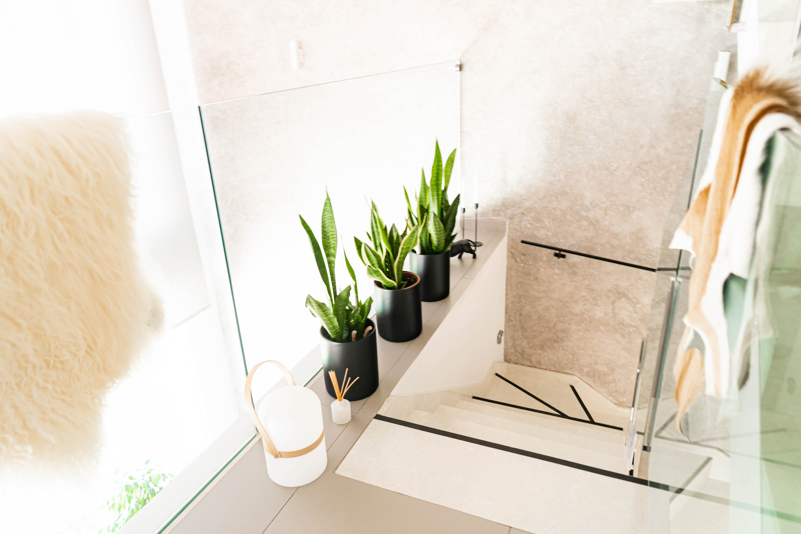 I&M GROUP. Baby Beast