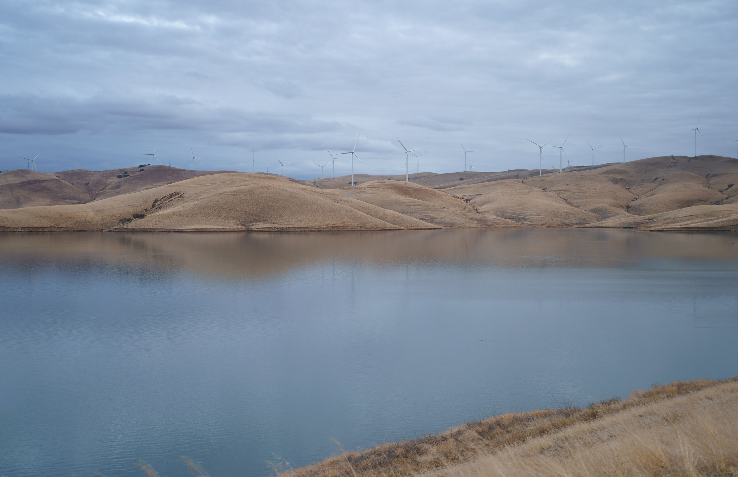 Los Vaqueros Reservoir. Tatiana Smirnova — Photographer