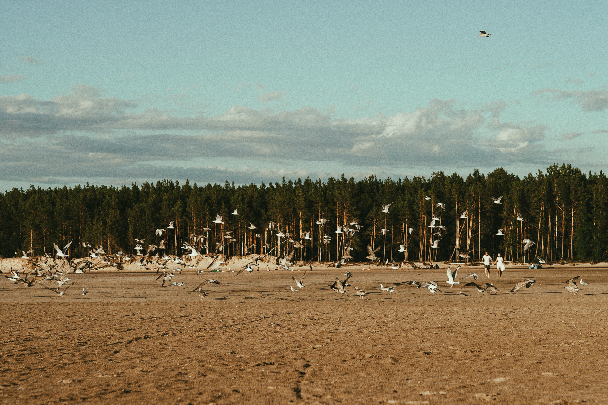 Lovestories. Ted Estos | Fotograf | Düsseldorf · NRW