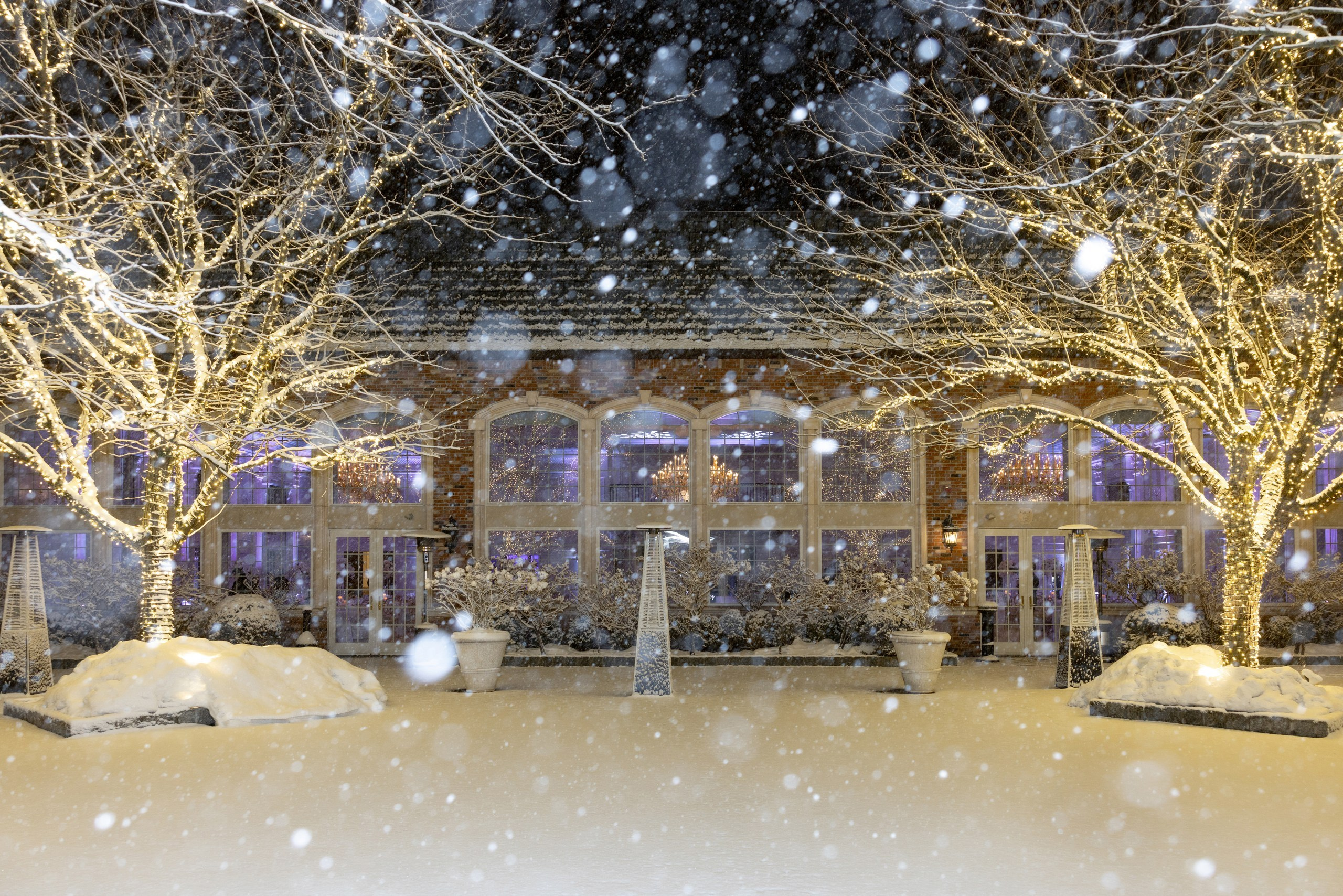 Isabel & Ross, Florentine Gardens. Wedding Photo & Video