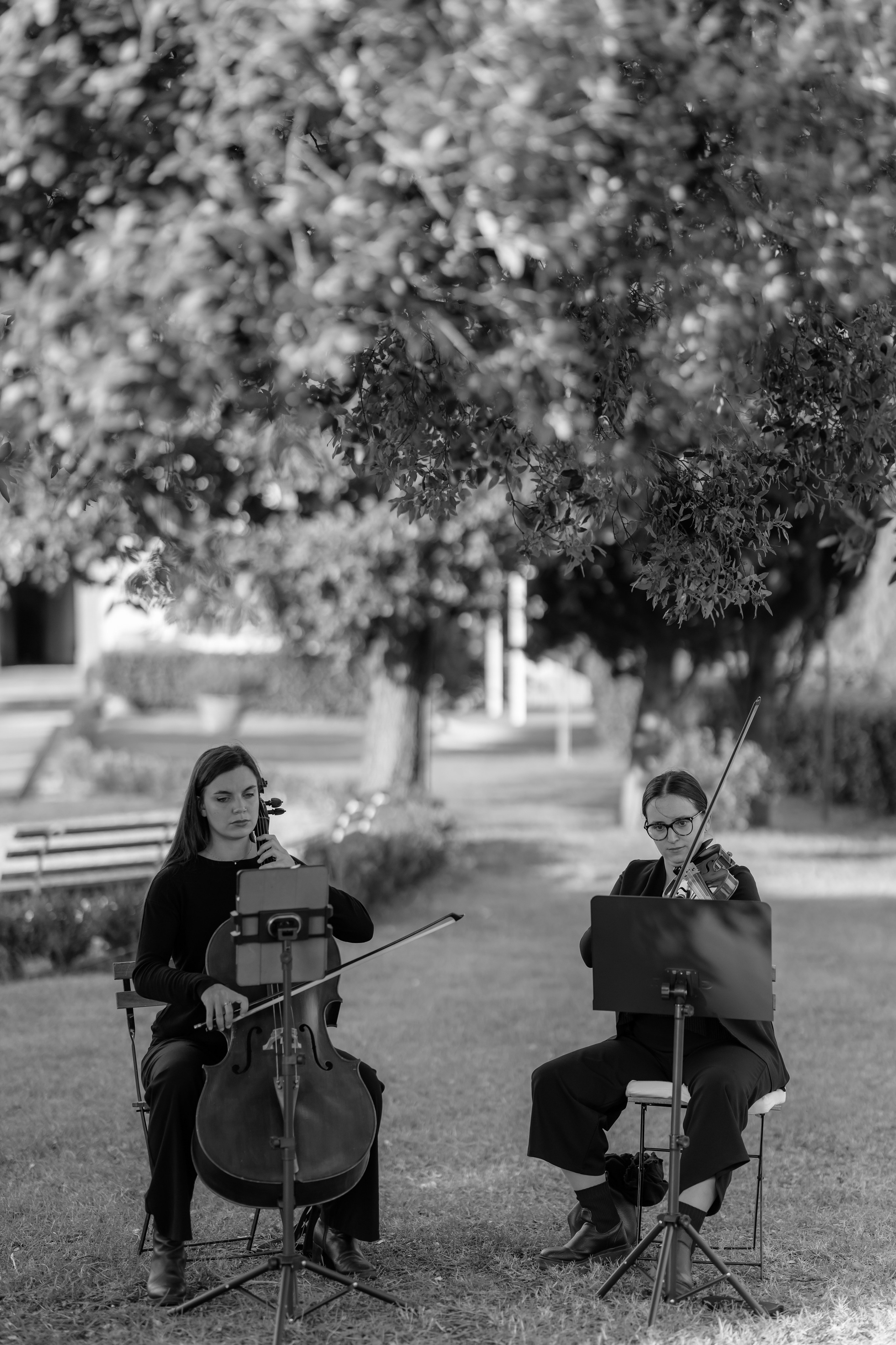 Dom&Ally. Весільний фотограф Вікторія Саврук