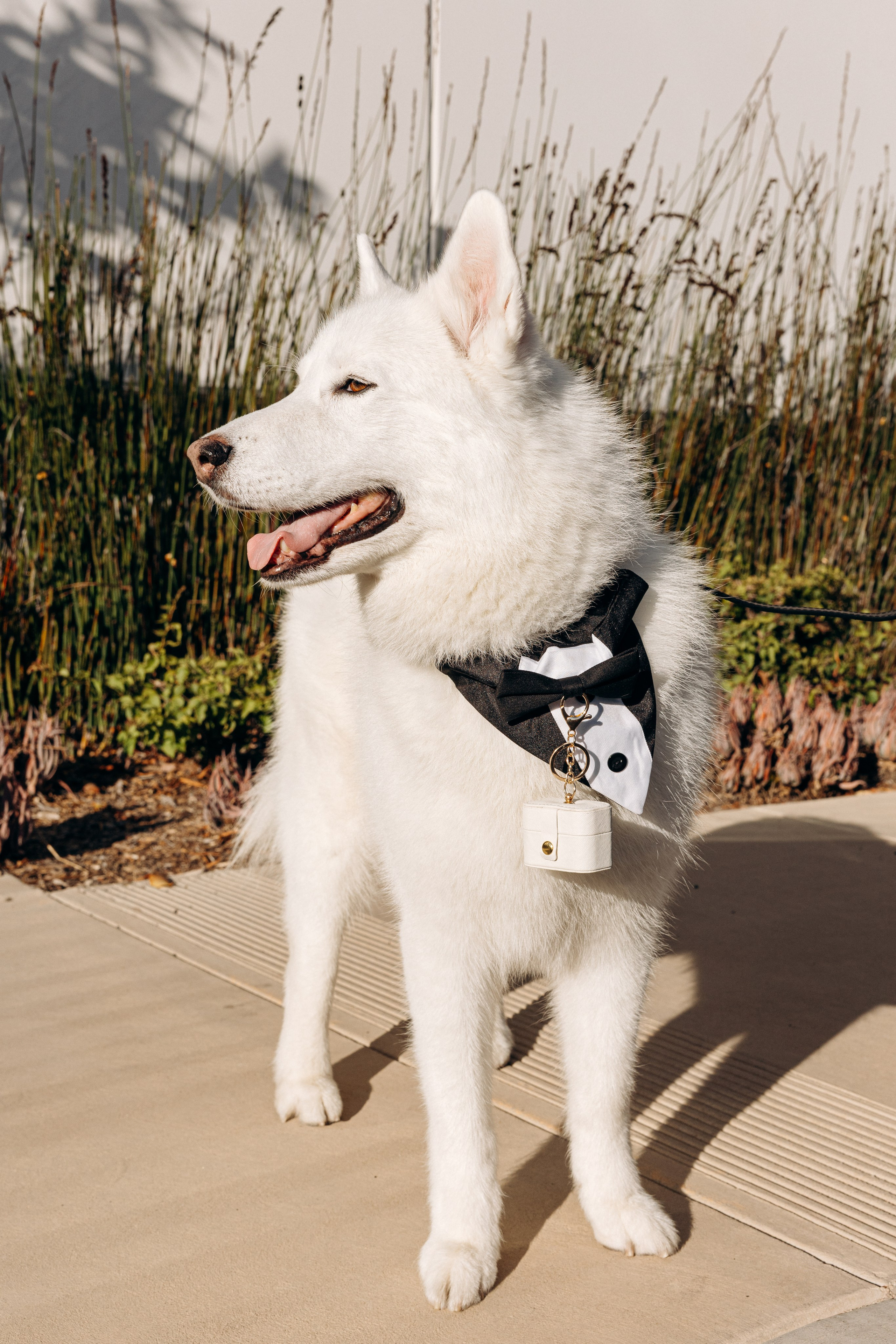 *. Wedding and family photographer San Diego