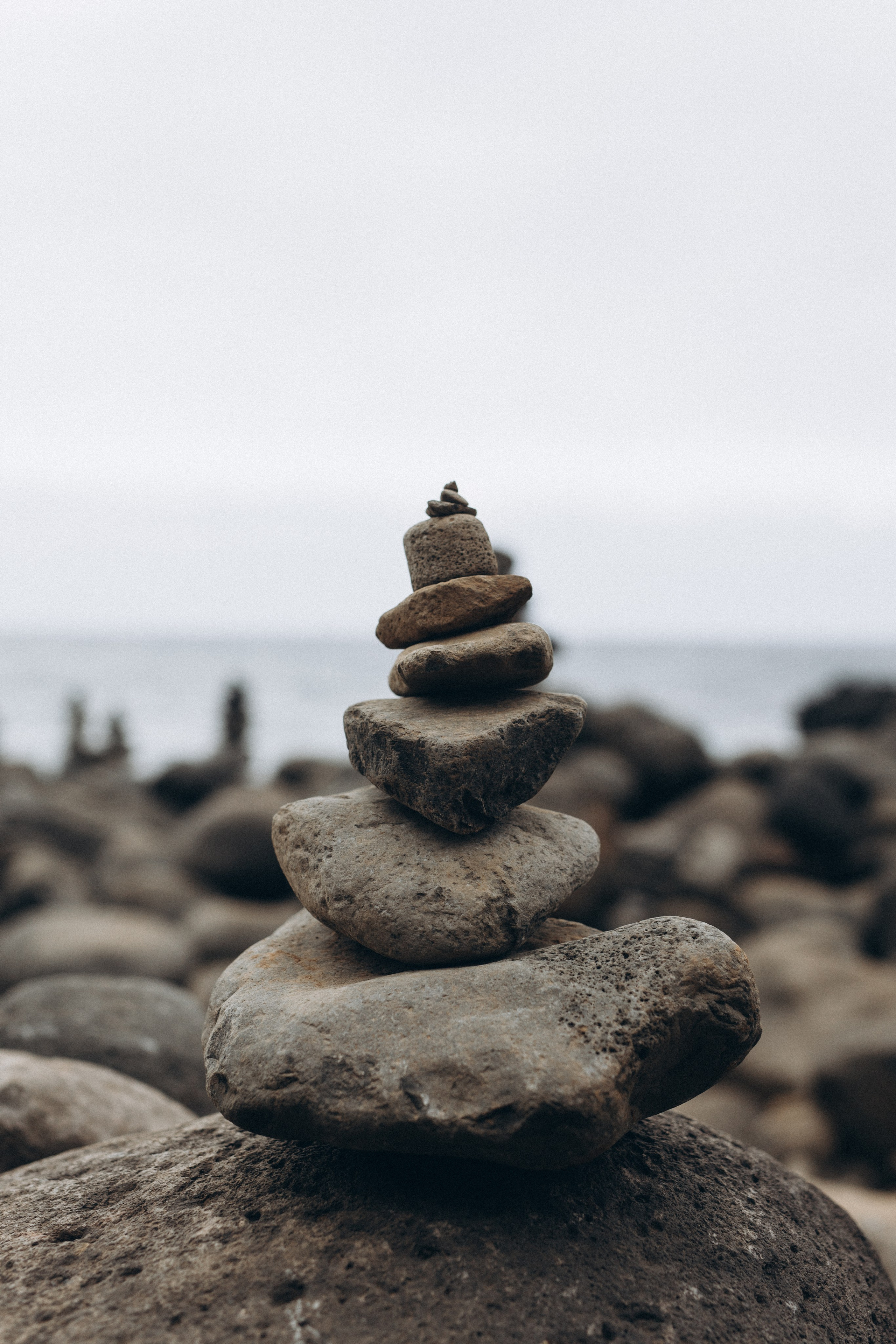 Elopment. Photographer Madeira