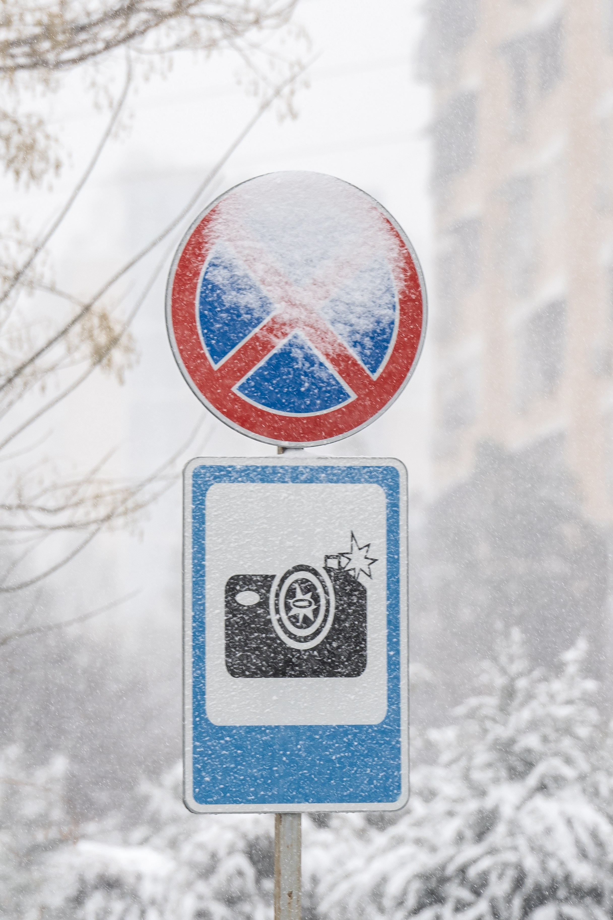 Снег. Георгий Намазов | Фотограф в Ташкенте