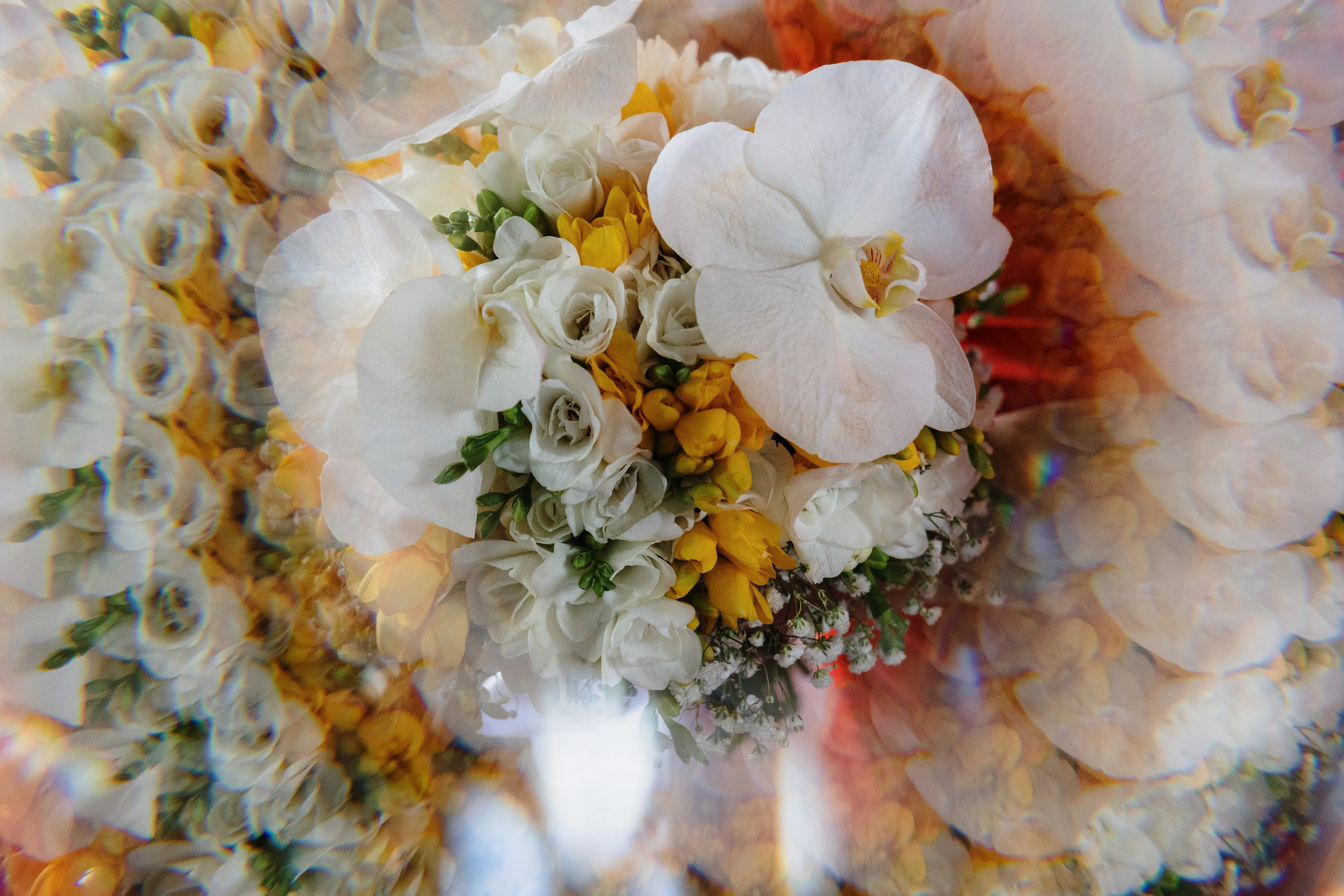 🌼🍃🌼 Stefania & Codrut 🌼🍃🌼. Romeo Dimache — Wedding photographer in Romania