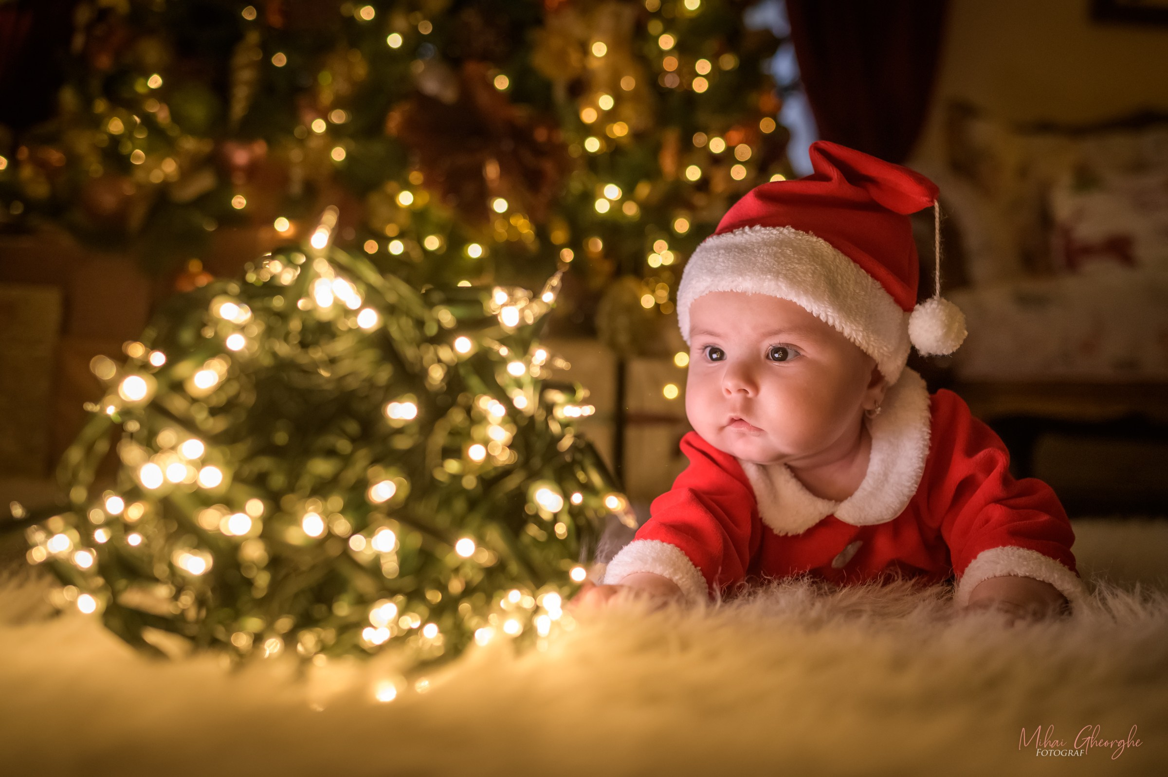 Galerie ședințe foto Crăciun | Inspirație reală
