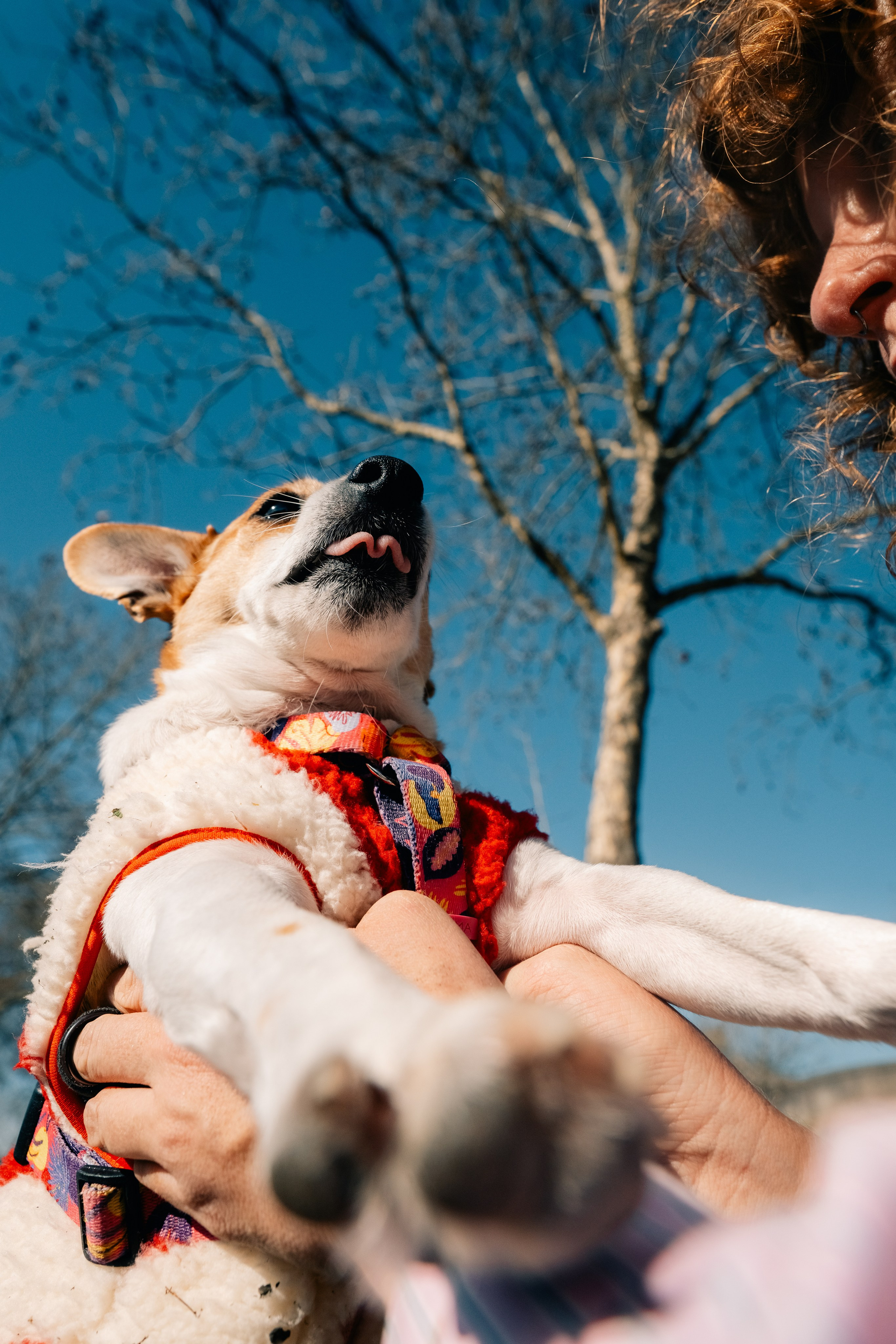 Yana & Doggos in Bonfim. Maria Sher. Professional photographer from Porto, Portugal