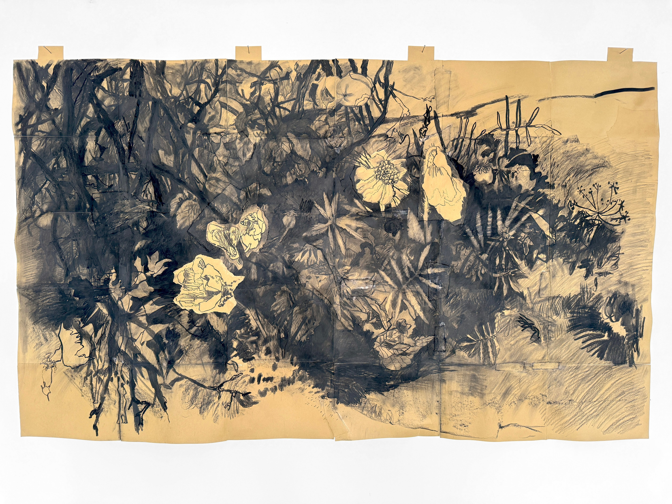 DRAWINGS. Artist Masha Neverova