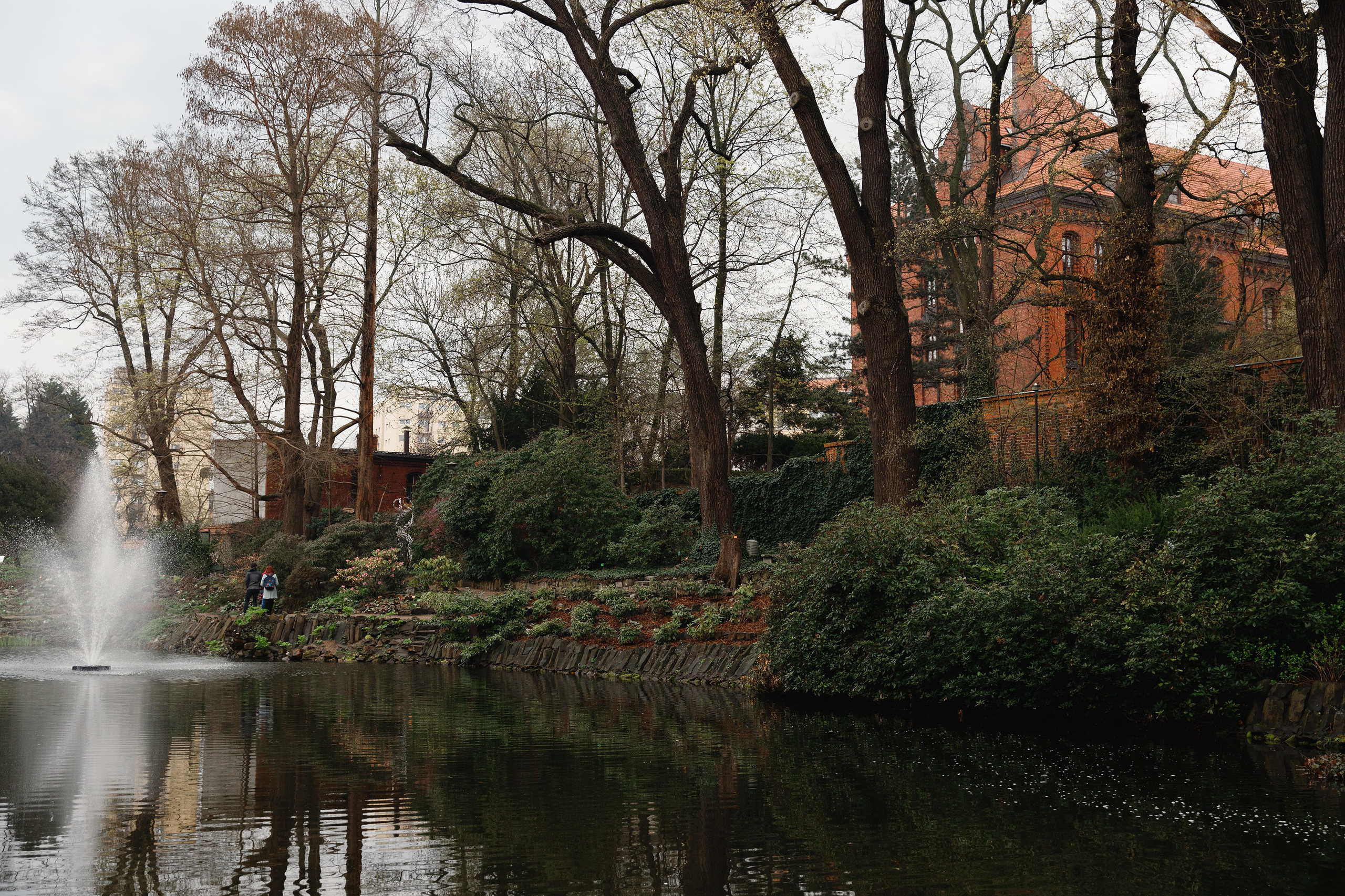 Botanical garden in Wroclaw. Kaja | fotograf we Wrocławiu | ludzie i psy