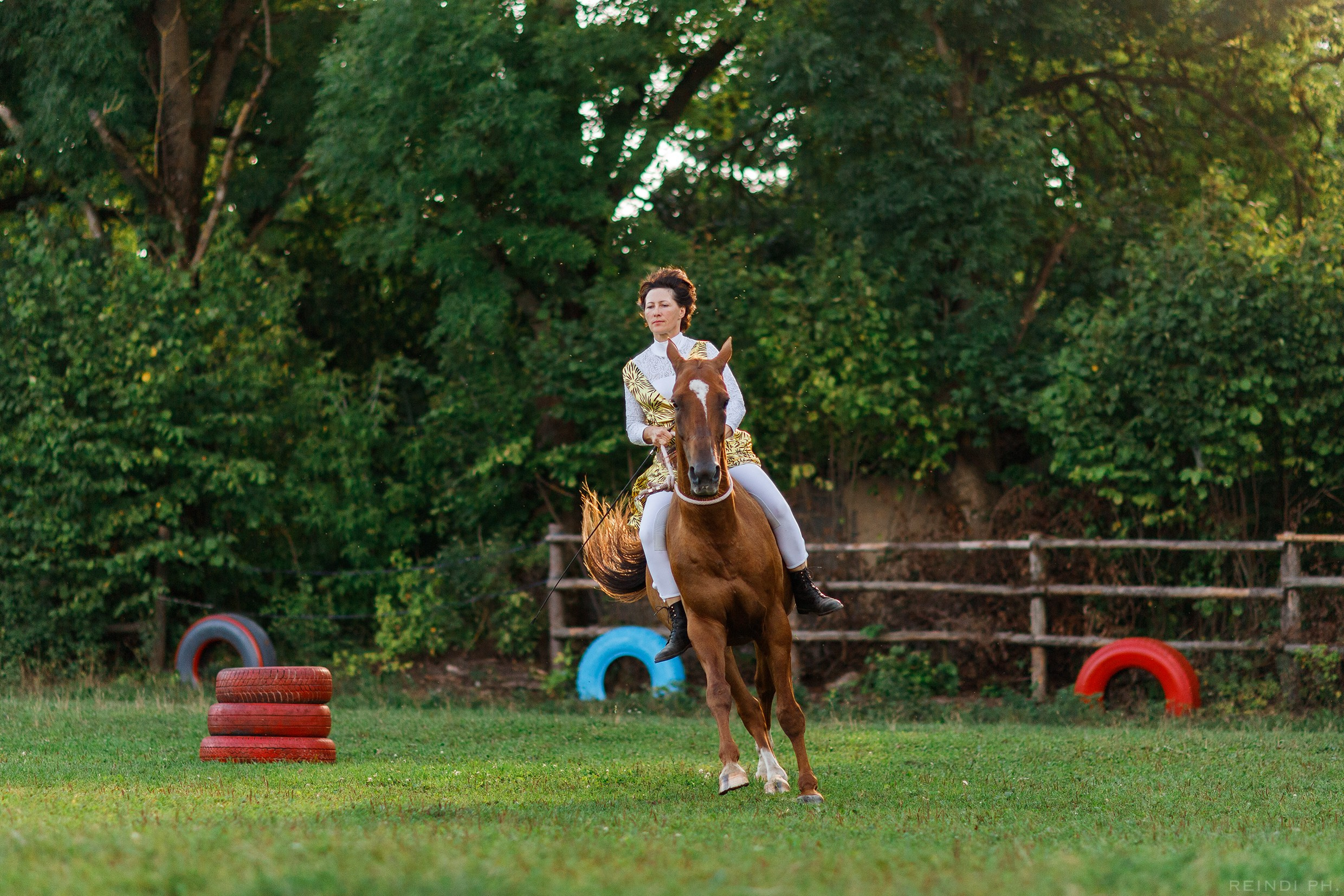 Horse show in the village. Kaja | fotograf we Wrocławiu | ludzie i psy