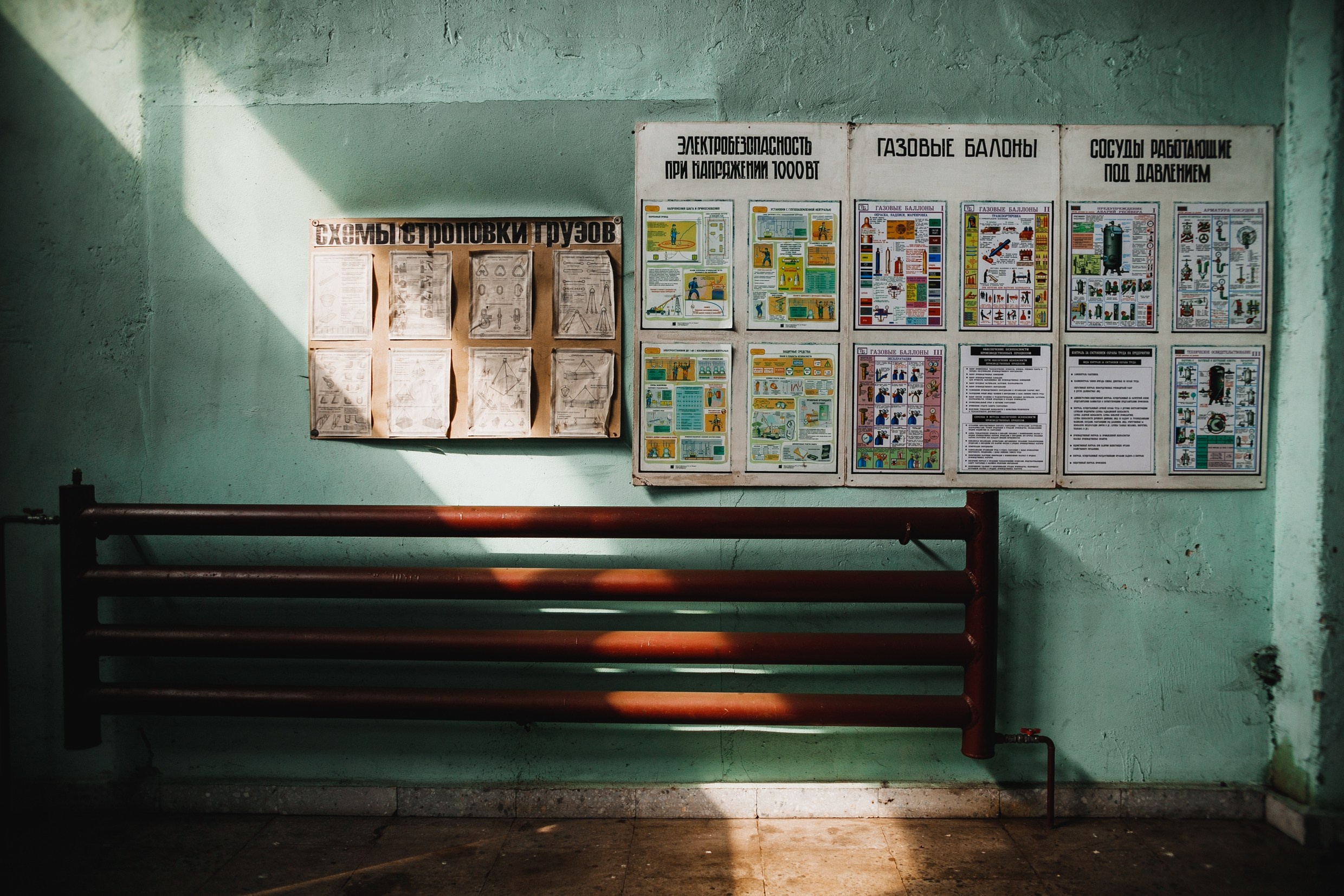 Narrow-gauge railway trip. Kaja | fotograf psów we Wrocławiu