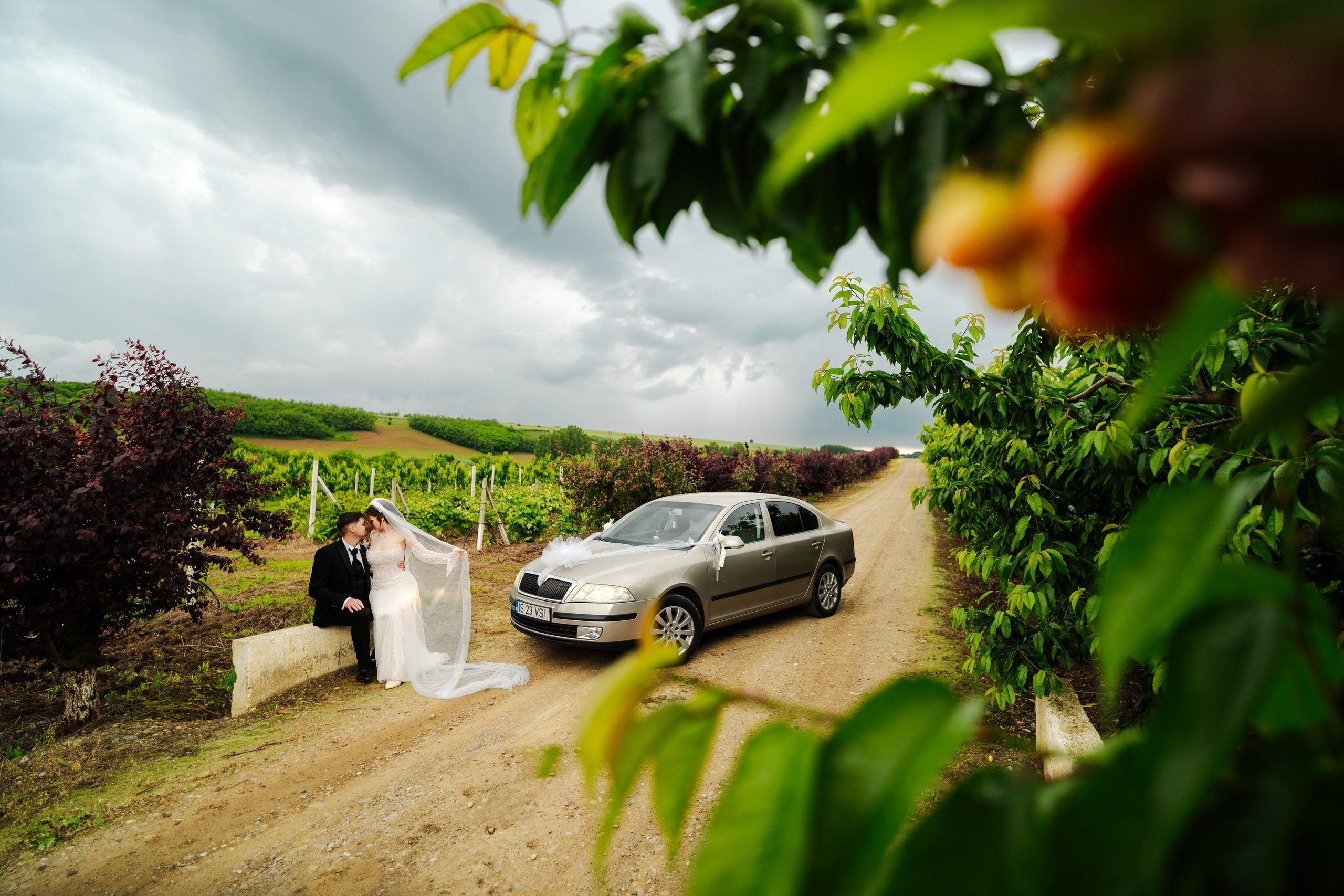 Stefania & Vasi. Ionut Cimpoes FOTOGRAF