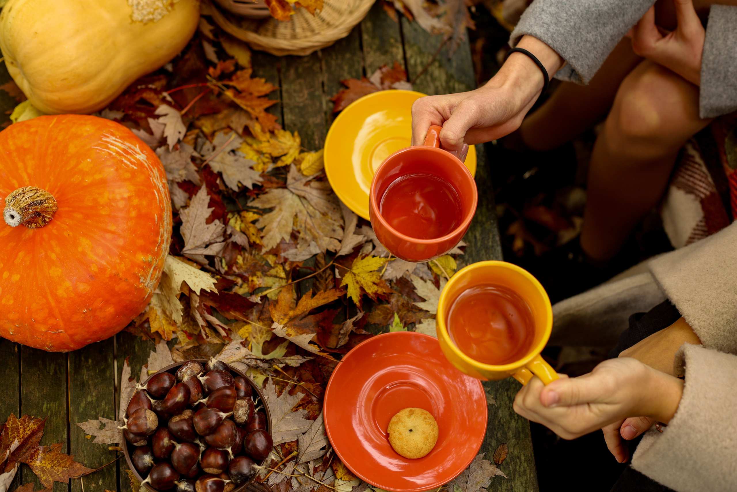 Séance photo d’automne: Meilleurs amis. Photographe et graphiste Anastasiia LITVIN - Besançon, France