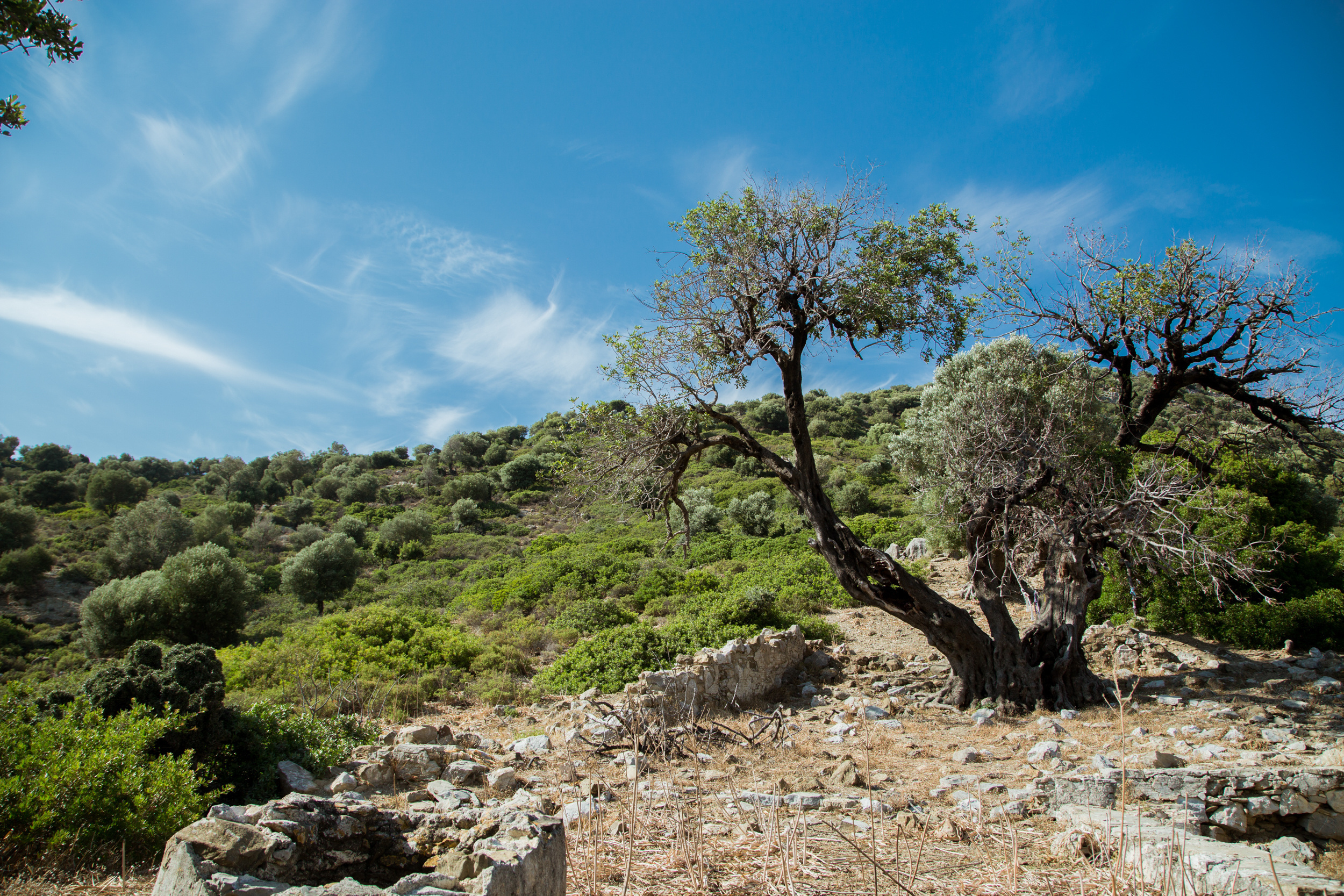 Вечеринка друзей и свадьба на острове. Фотограф в Каппадокии / Julia Ganch