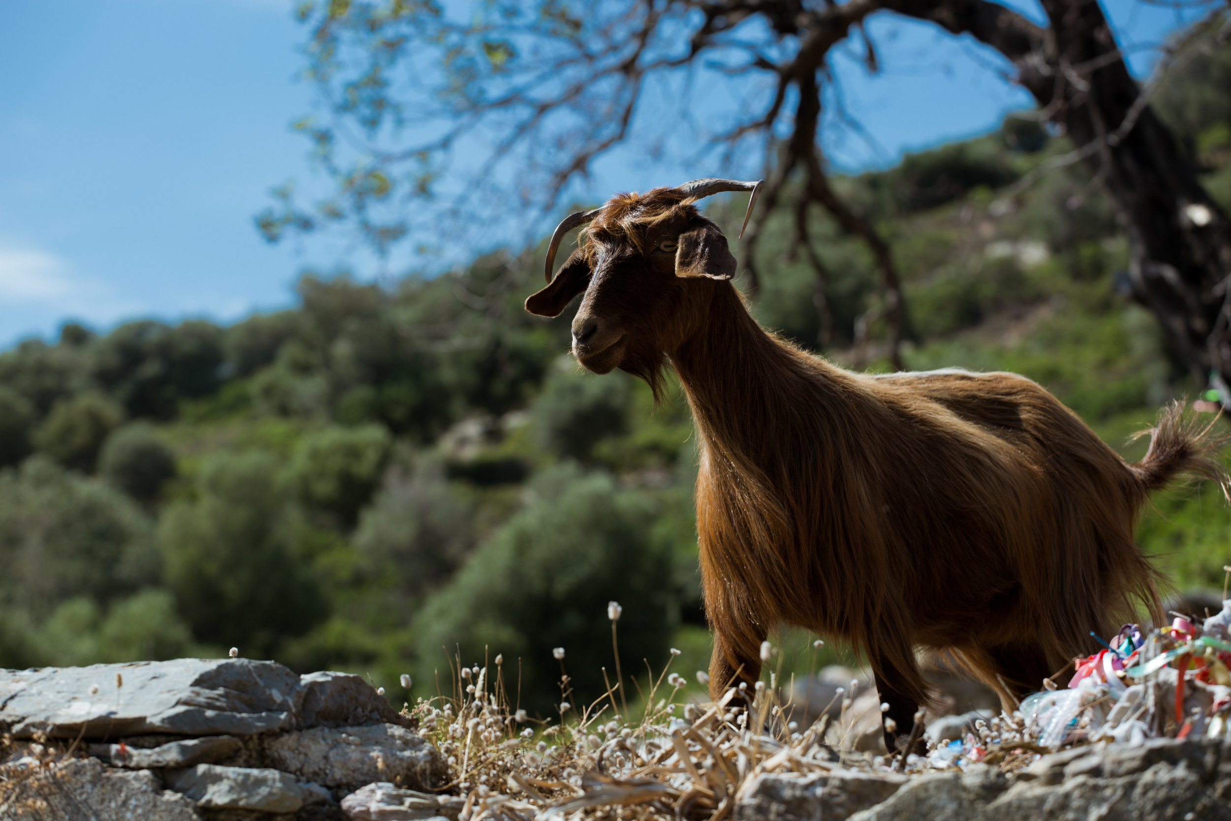 Вечеринка друзей и свадьба на острове. Фотограф в Каппадокии / Julia Ganch