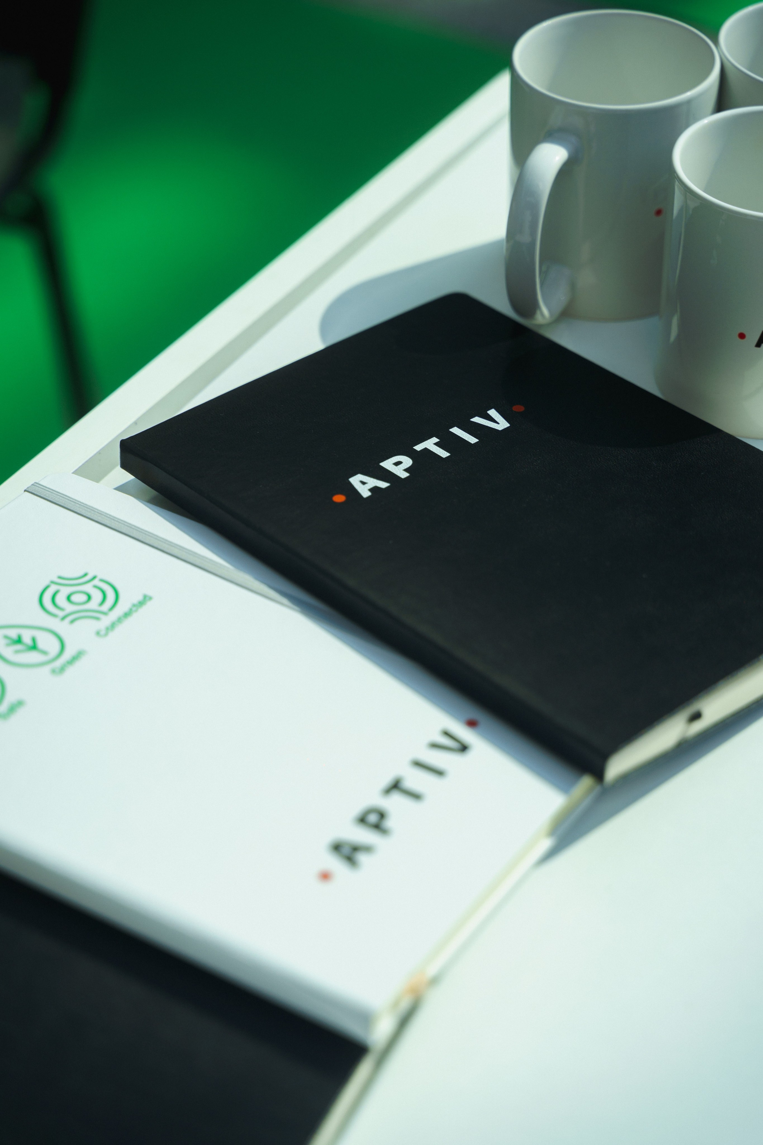 EV Days in Novi Sad 2023. Zhukov studio