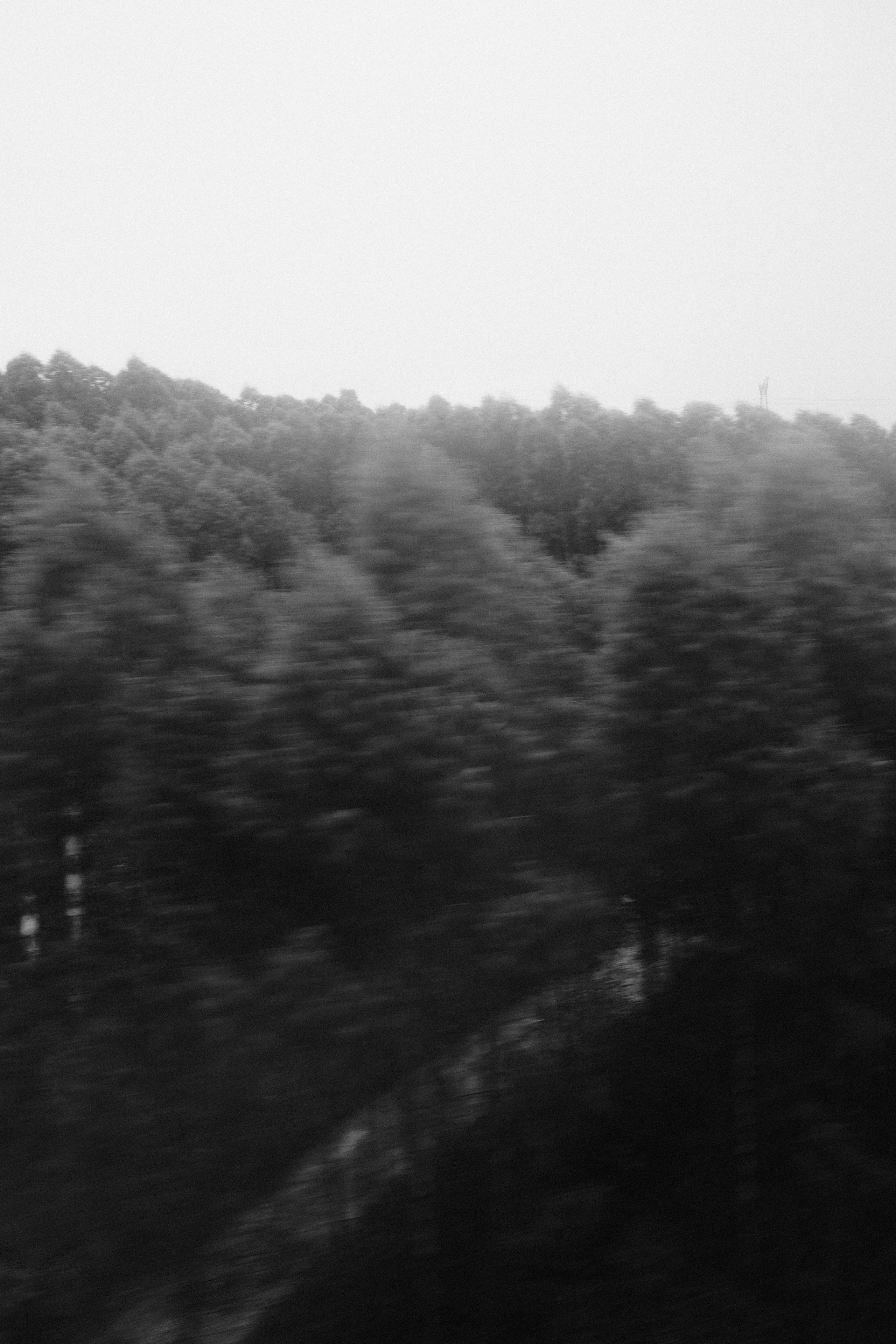 Yangshuo China Guiling. Фотограф В Гуанчжоу и Шэньчжэнь Андрей Лопатин