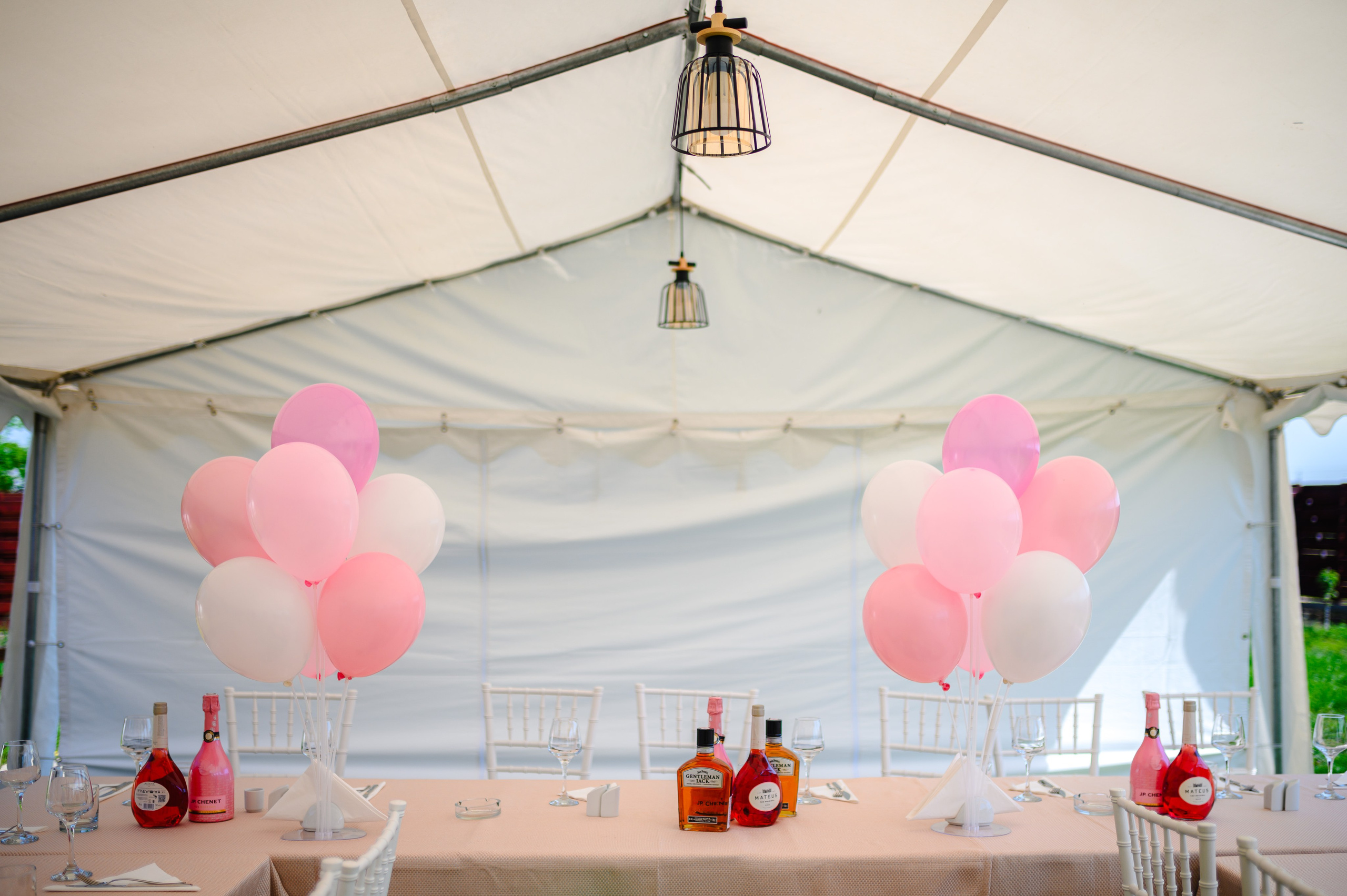 Ariana Maria. Erik Bagy | Fotograf de Nuntă