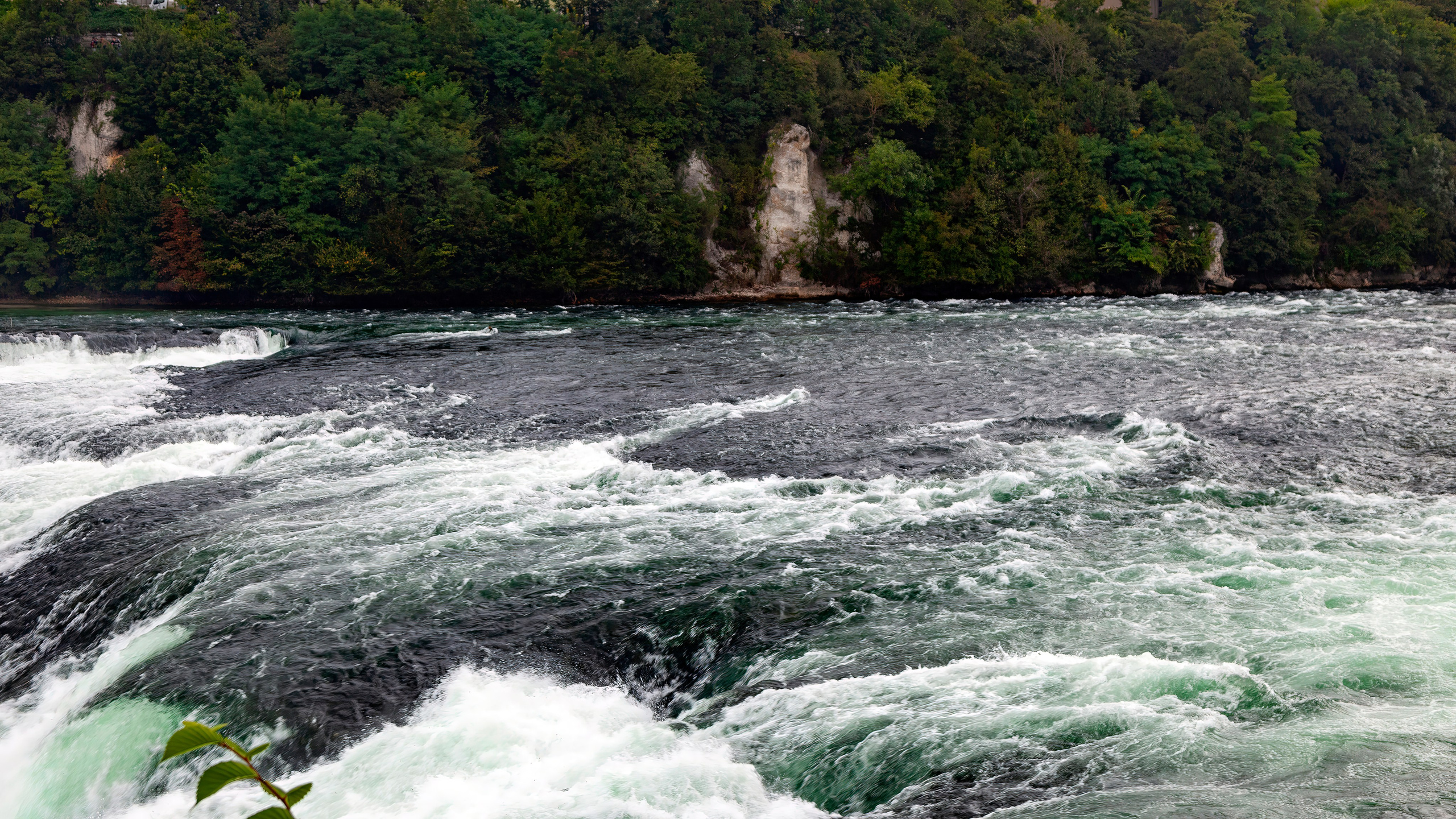 186.Rhine Falls.Switzerland.23.9.2024. Путешествия в формате 360......