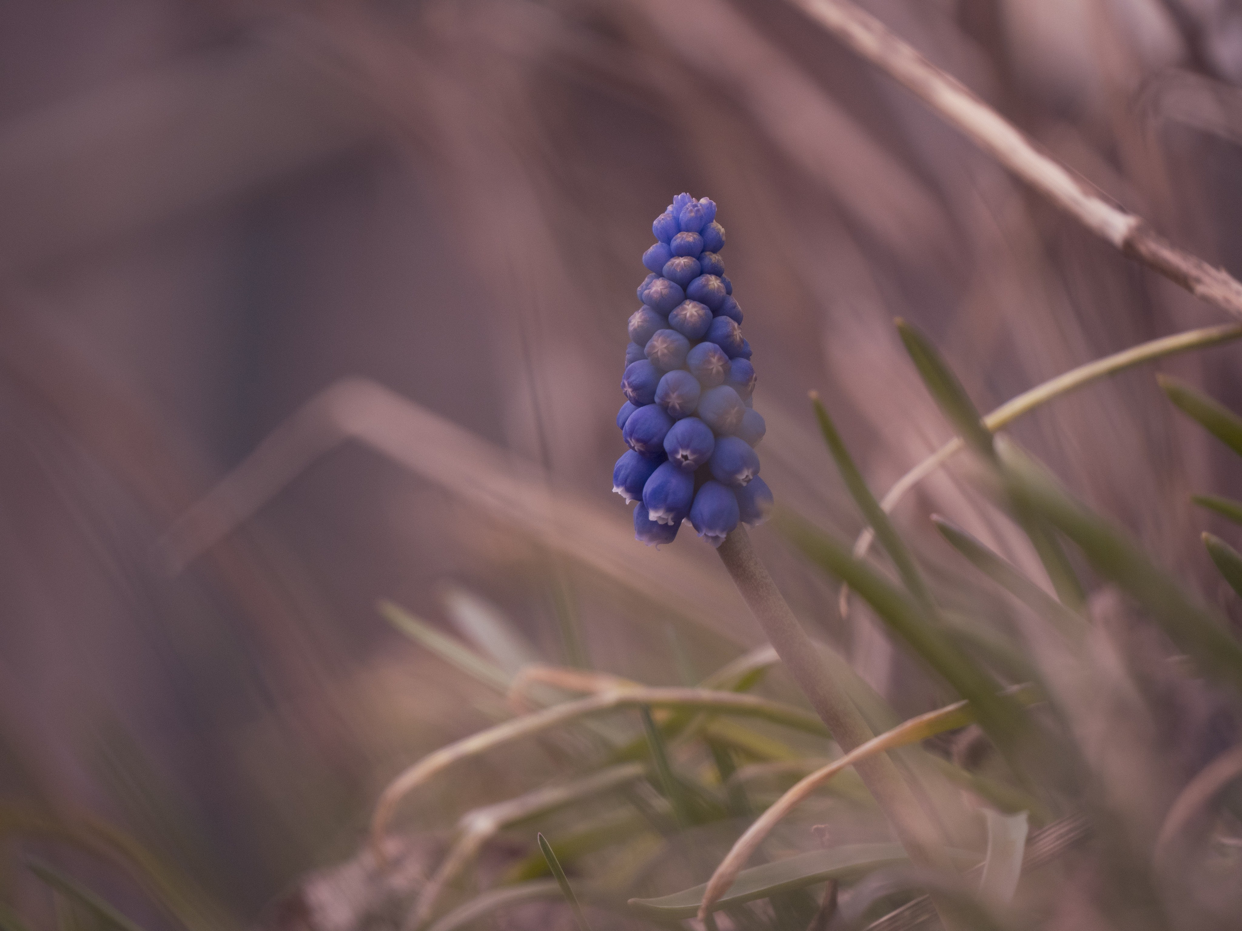 Portfolio. Photographer in Sotenäs municipality. Fotograf i Sotenäs kommun