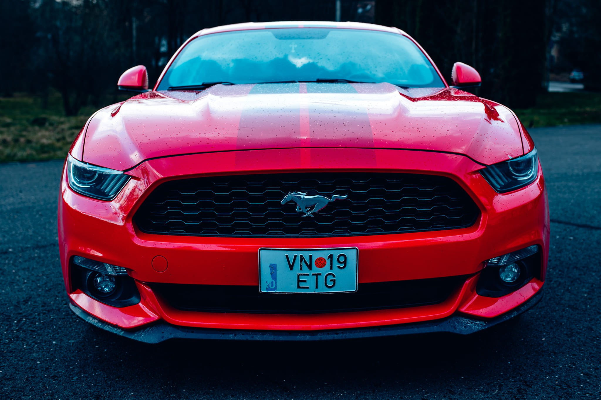 Masini. Ionut Brehuescu — Fotograf