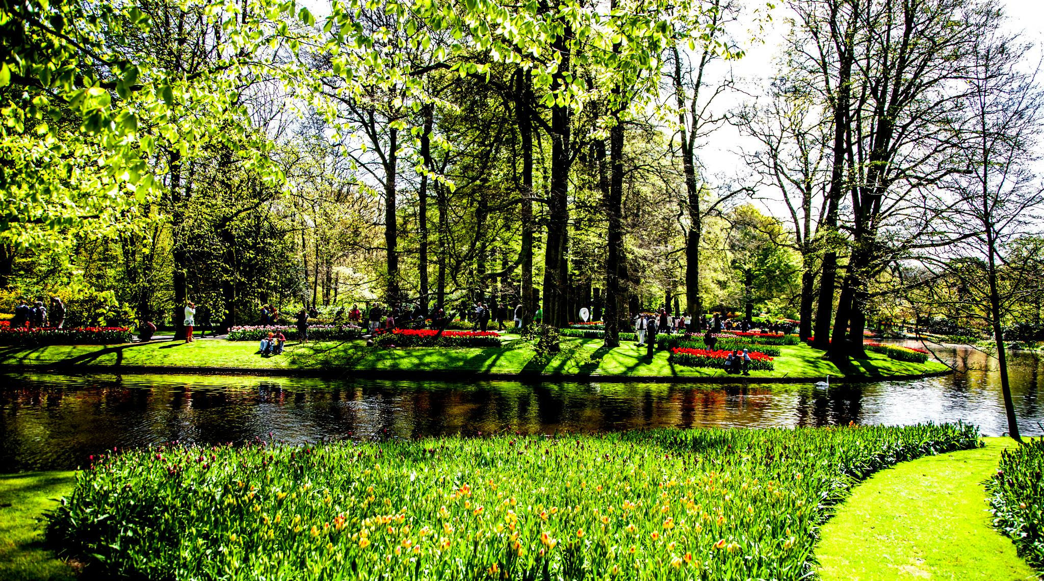 12.Keukenhof — 8 000 000…. Путешествия в формате 360......