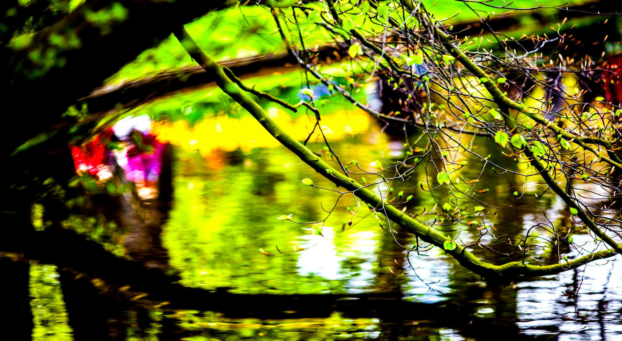 12.Keukenhof — 8 000 000…. Путешествия в формате 360......