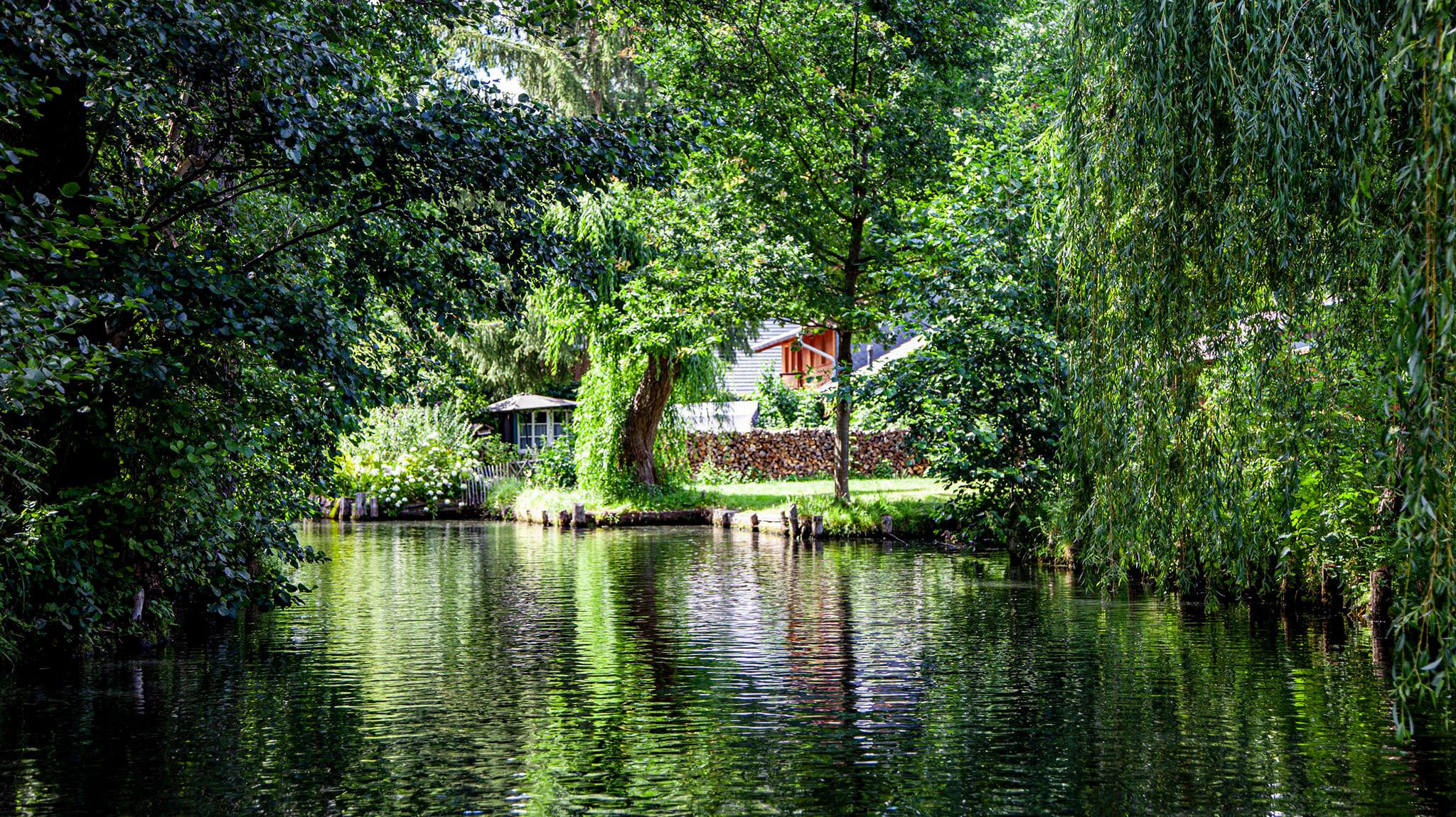 79.Lübbenau/Spreewald.27/6/2020. Путешествия в формате 360......