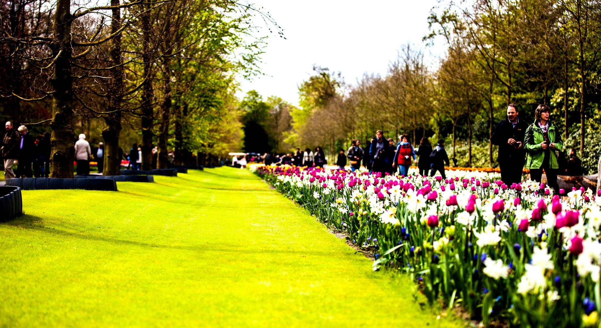 12.Keukenhof — 8 000 000…. Путешествия в формате 360......