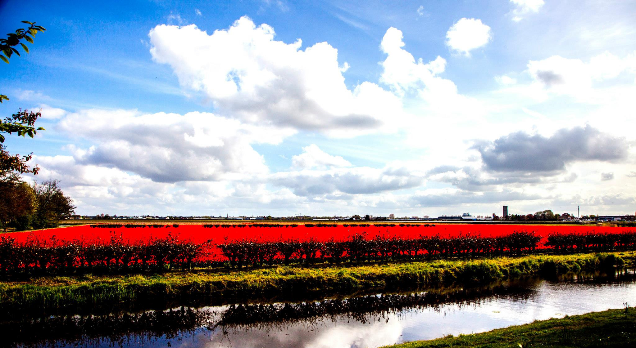 12.Keukenhof — 8 000 000…. Путешествия в формате 360......