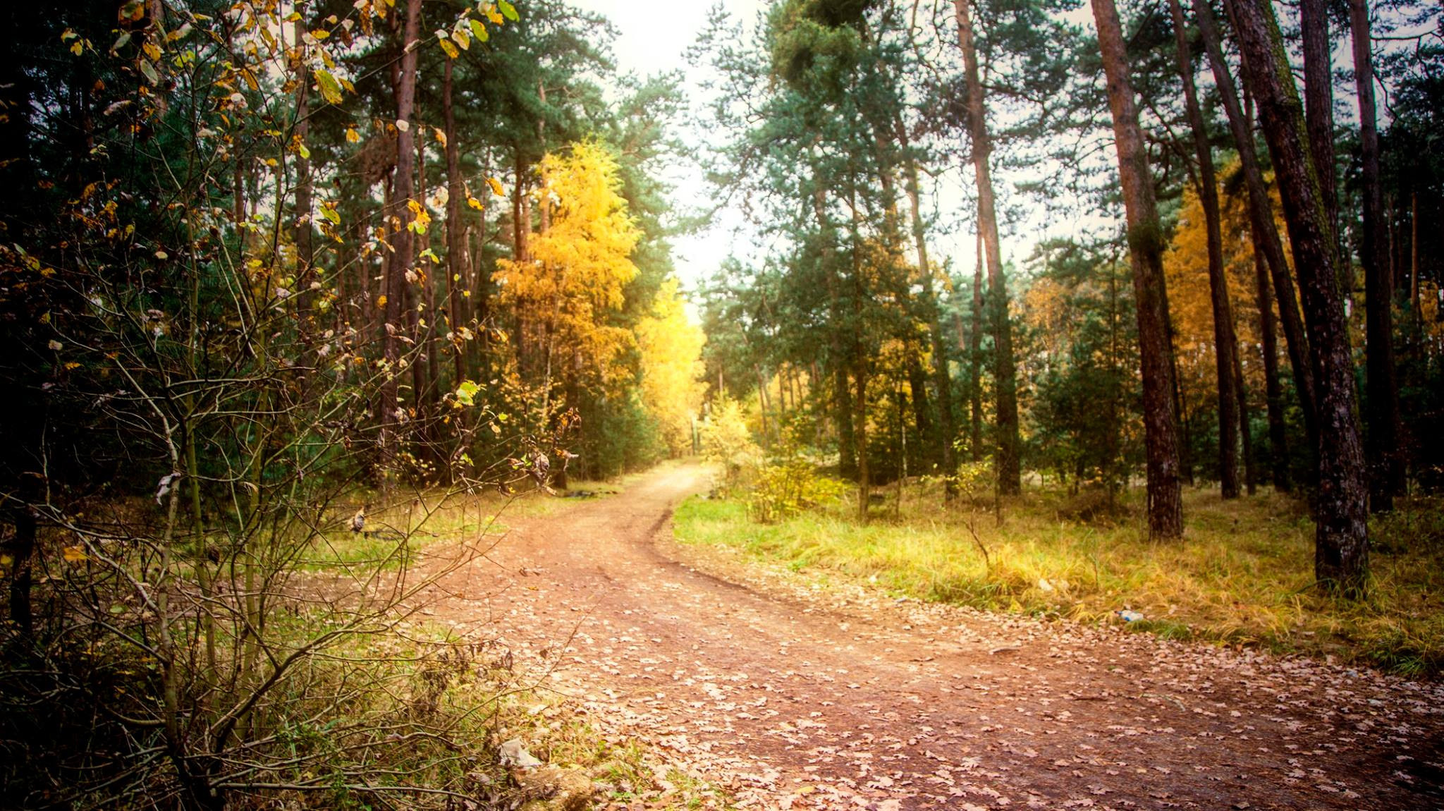 25.ПП/77726-26 лет спустя…. Путешествия в формате 360......