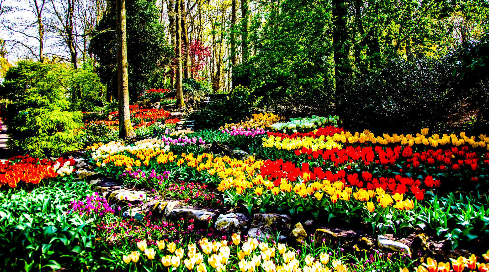 12.Keukenhof — 8 000 000…. Путешествия в формате 360......