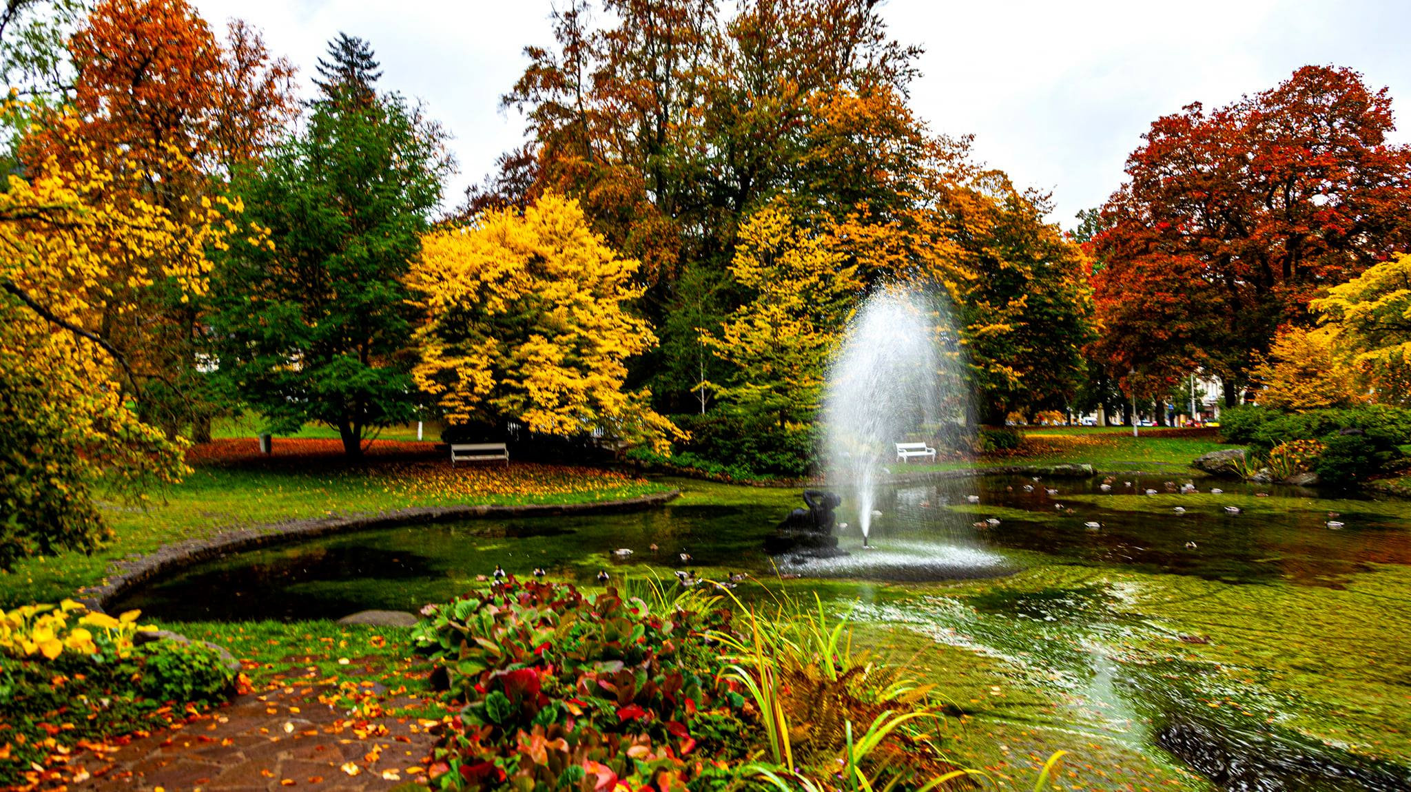 91.Marianske Lezne.12/10-18/10/2020. Путешествия в формате 360......