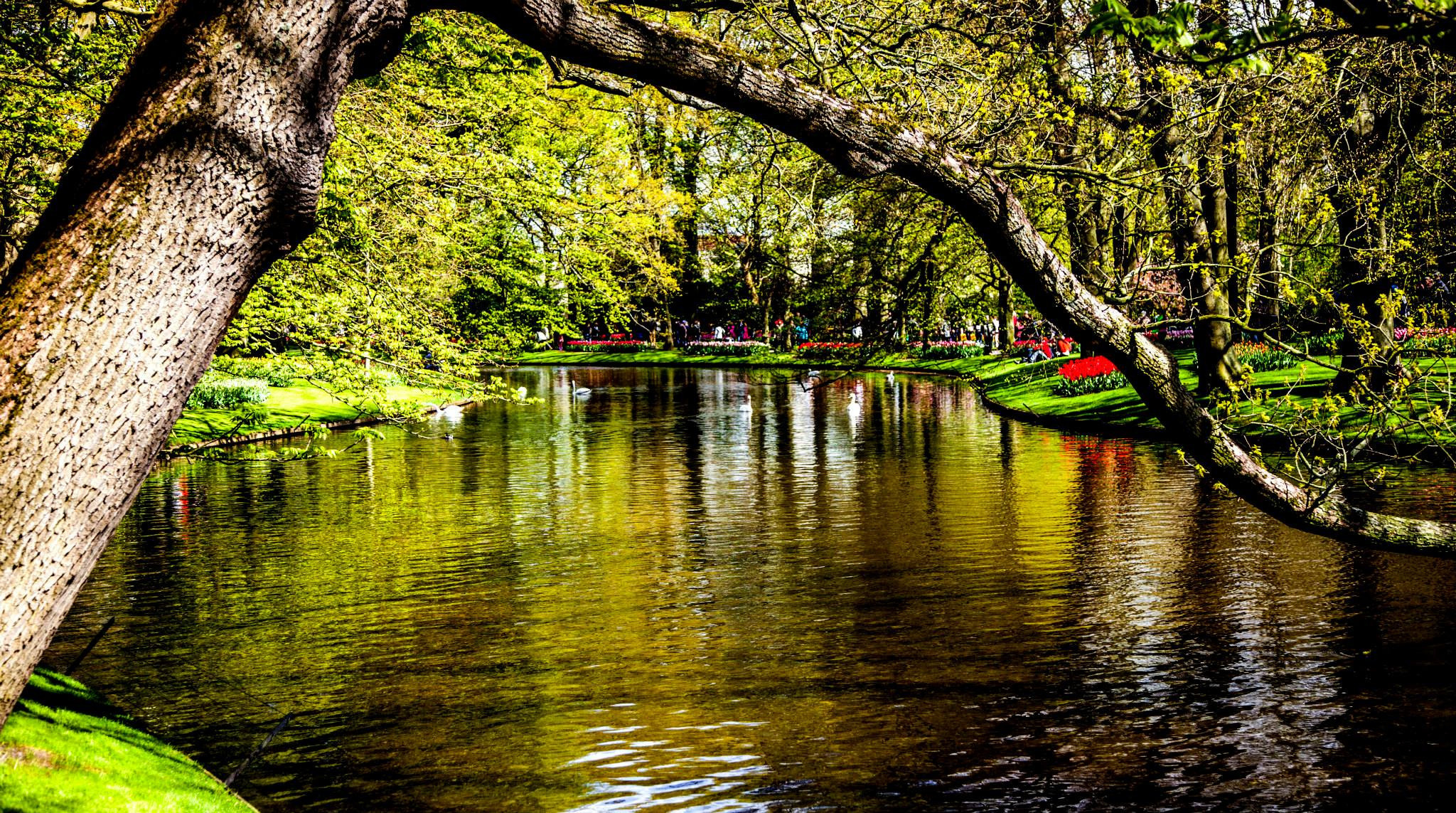12.Keukenhof — 8 000 000…. Путешествия в формате 360......