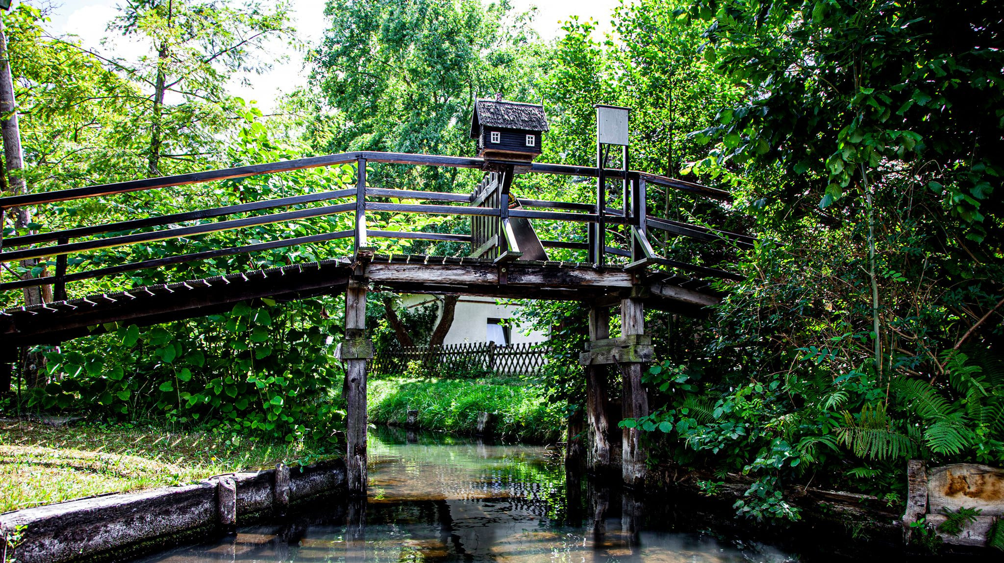 79.Lübbenau/Spreewald.27/6/2020. Путешествия в формате 360......