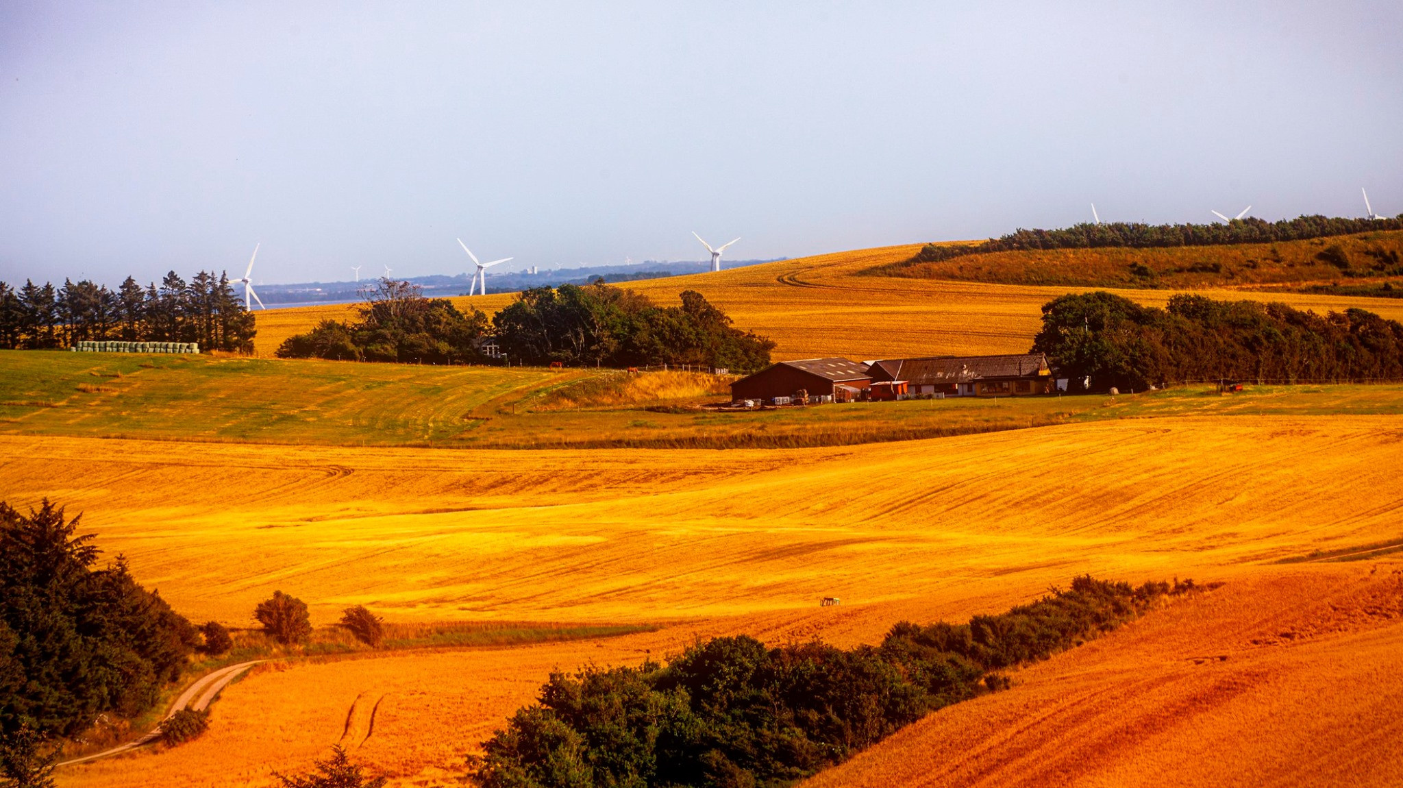 60.Kongeriget Danmark.Limfjord.Ostrov Mors.22/7-30/7/2019. Путешествия в формате 360......