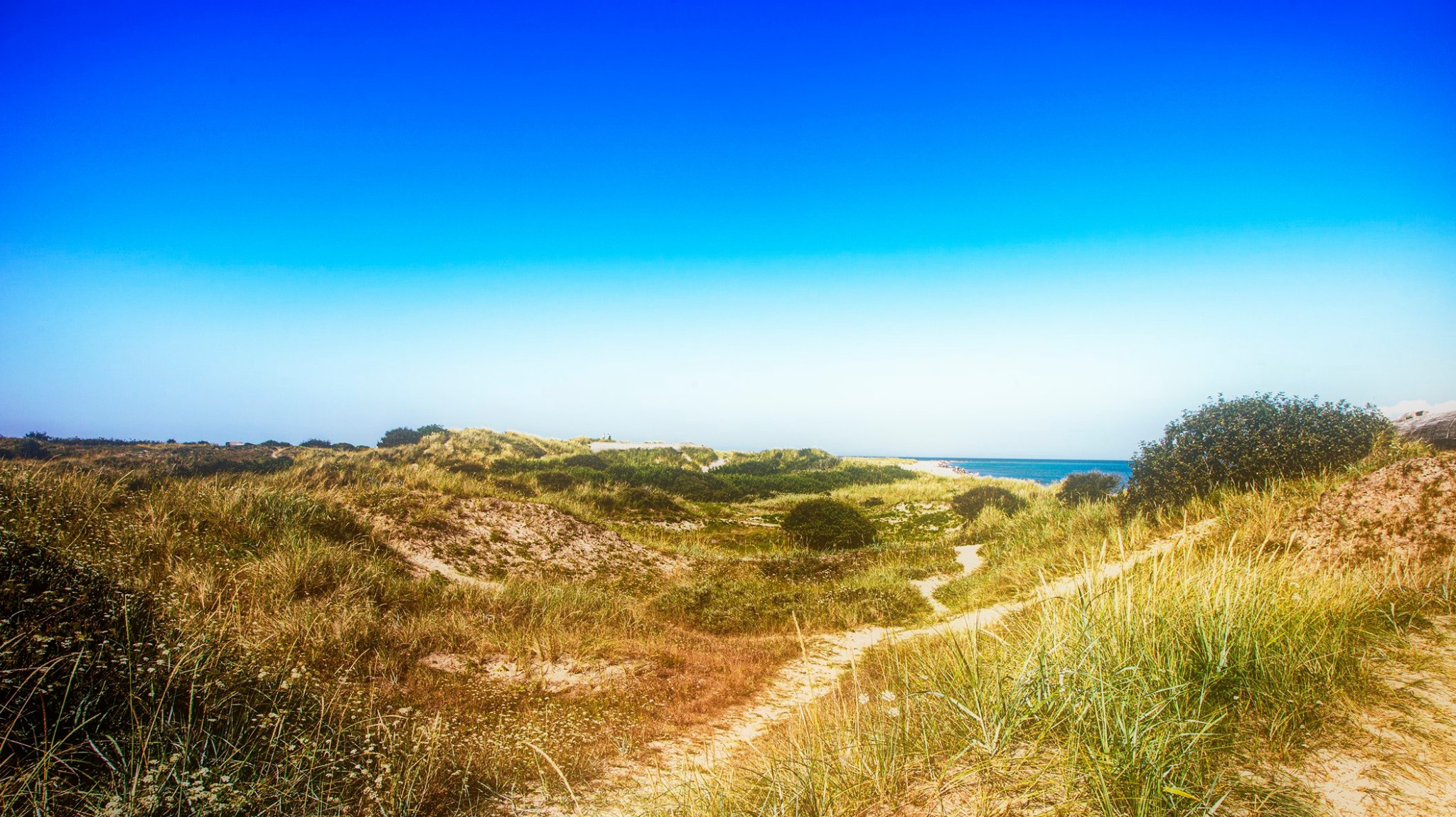 57.Kongeriget Danmark.Mys Grener.22/7-30/7/2019. Путешествия в формате 360......