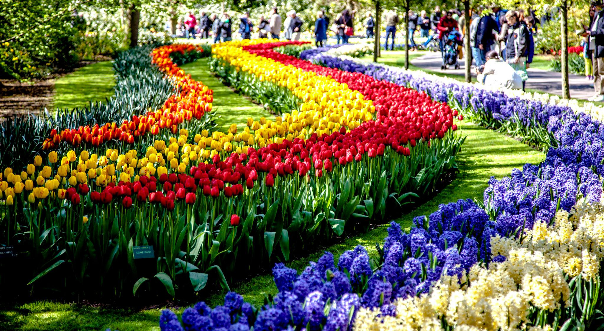 12.Keukenhof — 8 000 000…. Путешествия в формате 360......