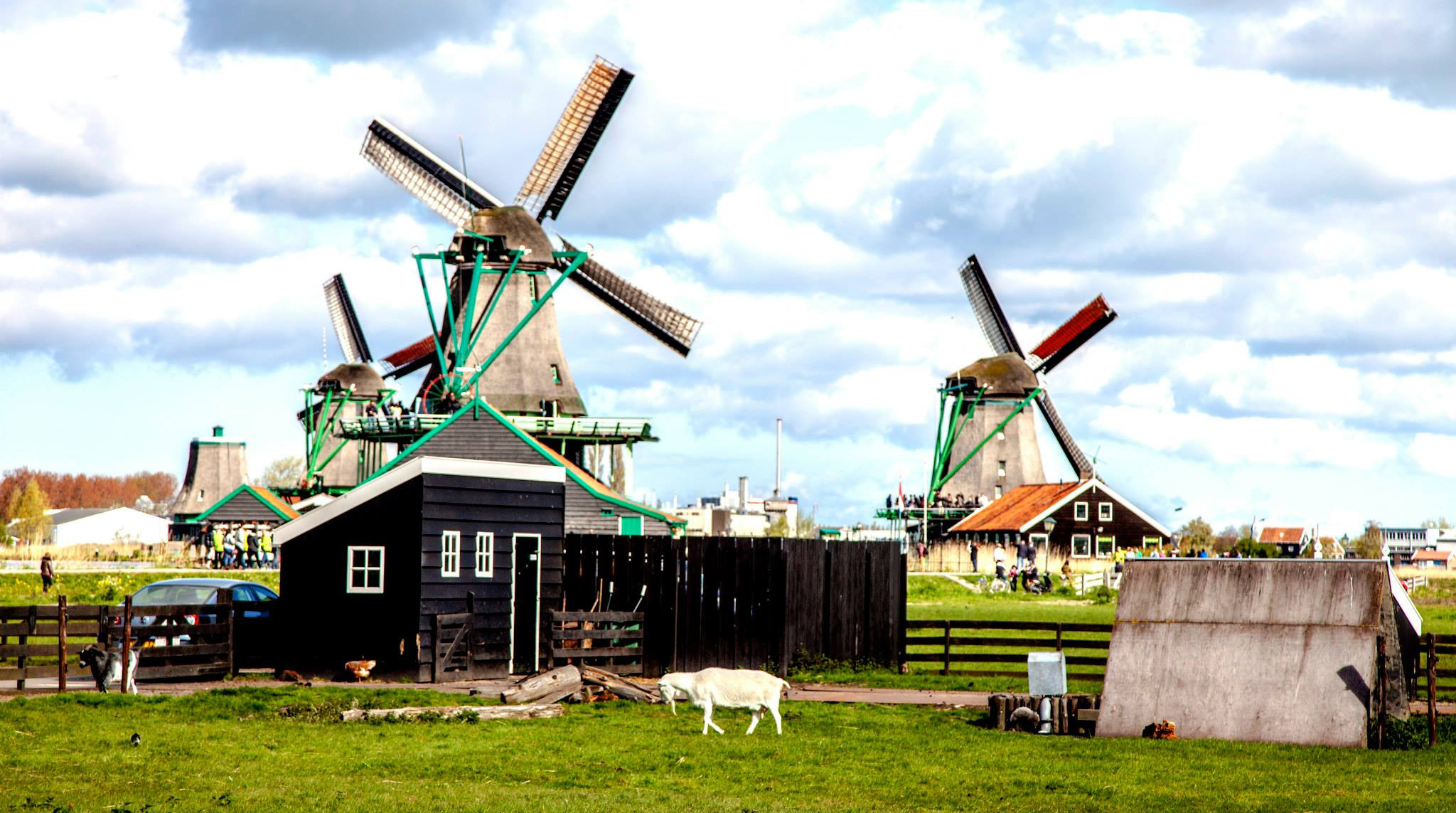 14.Zaanse Schans. Путешествия в формате 360......
