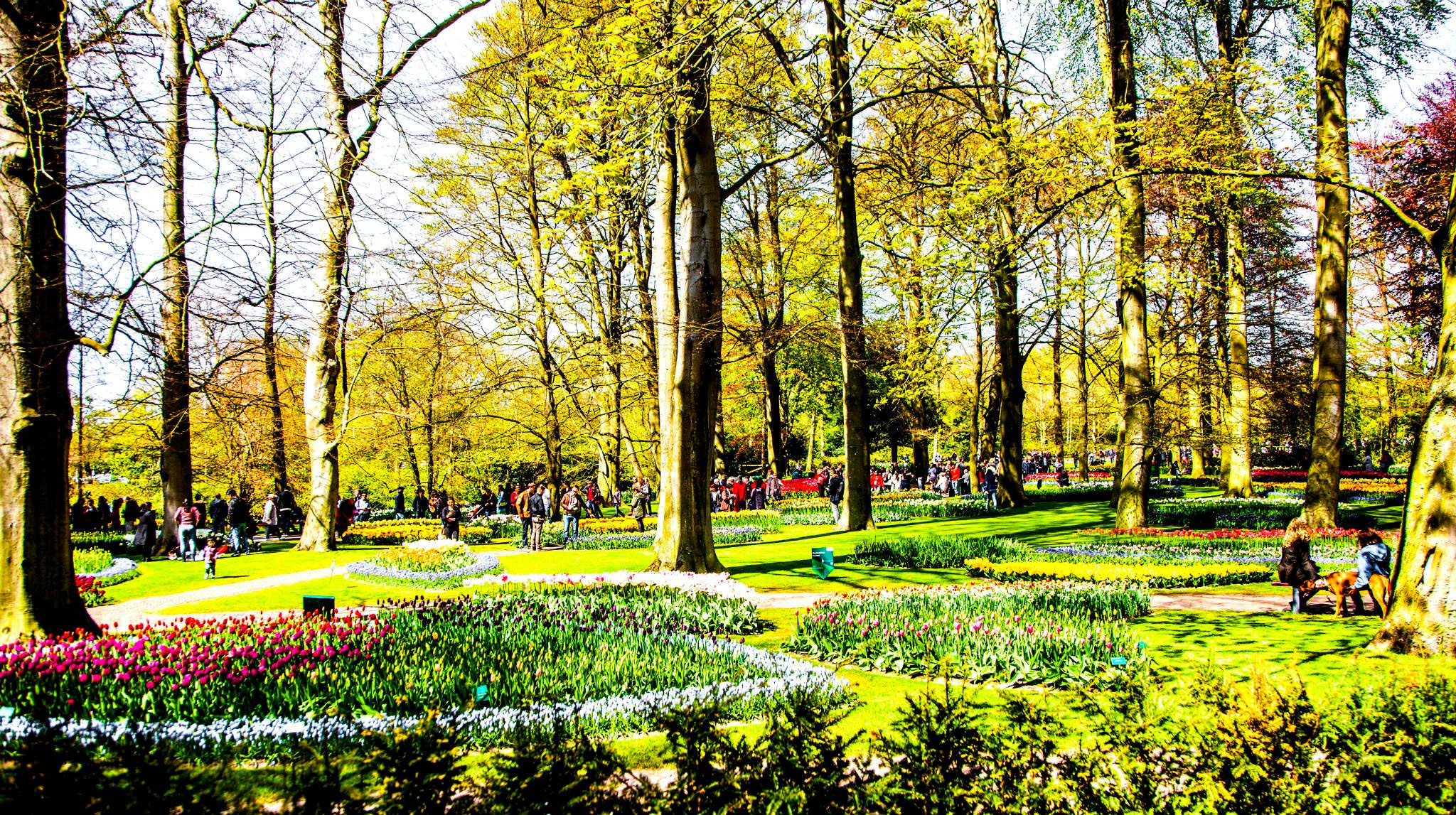12.Keukenhof — 8 000 000…. Путешествия в формате 360......