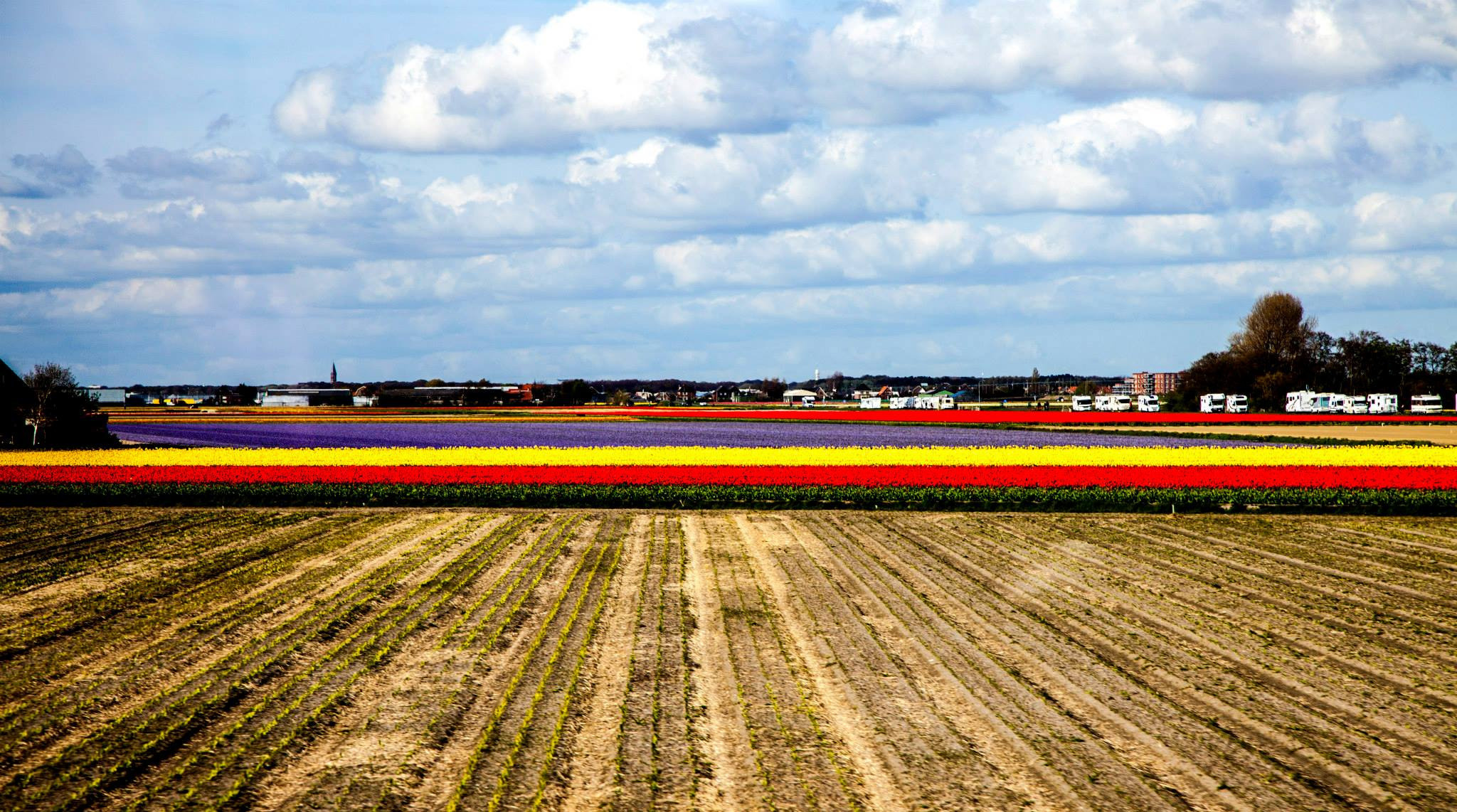 12.Keukenhof — 8 000 000…. Путешествия в формате 360......