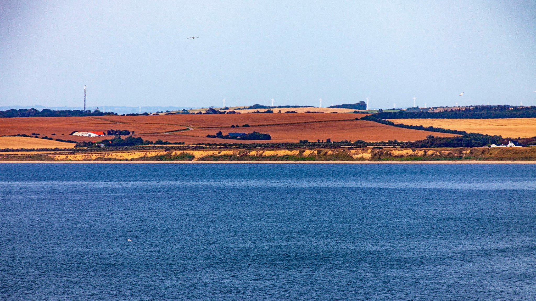 60.Kongeriget Danmark.Limfjord.Ostrov Mors.22/7-30/7/2019. Путешествия в формате 360......