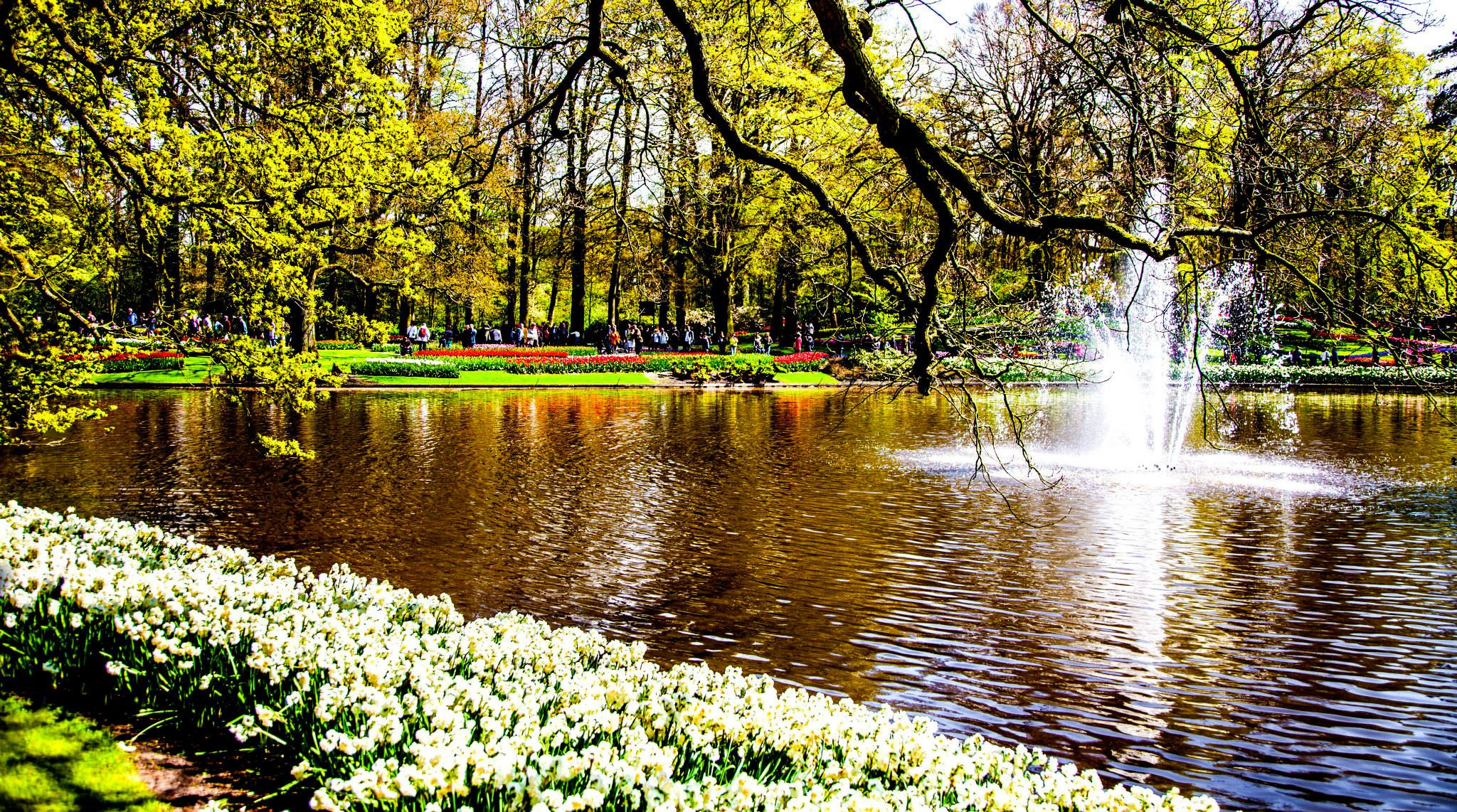 12.Keukenhof — 8 000 000…. Путешествия в формате 360......